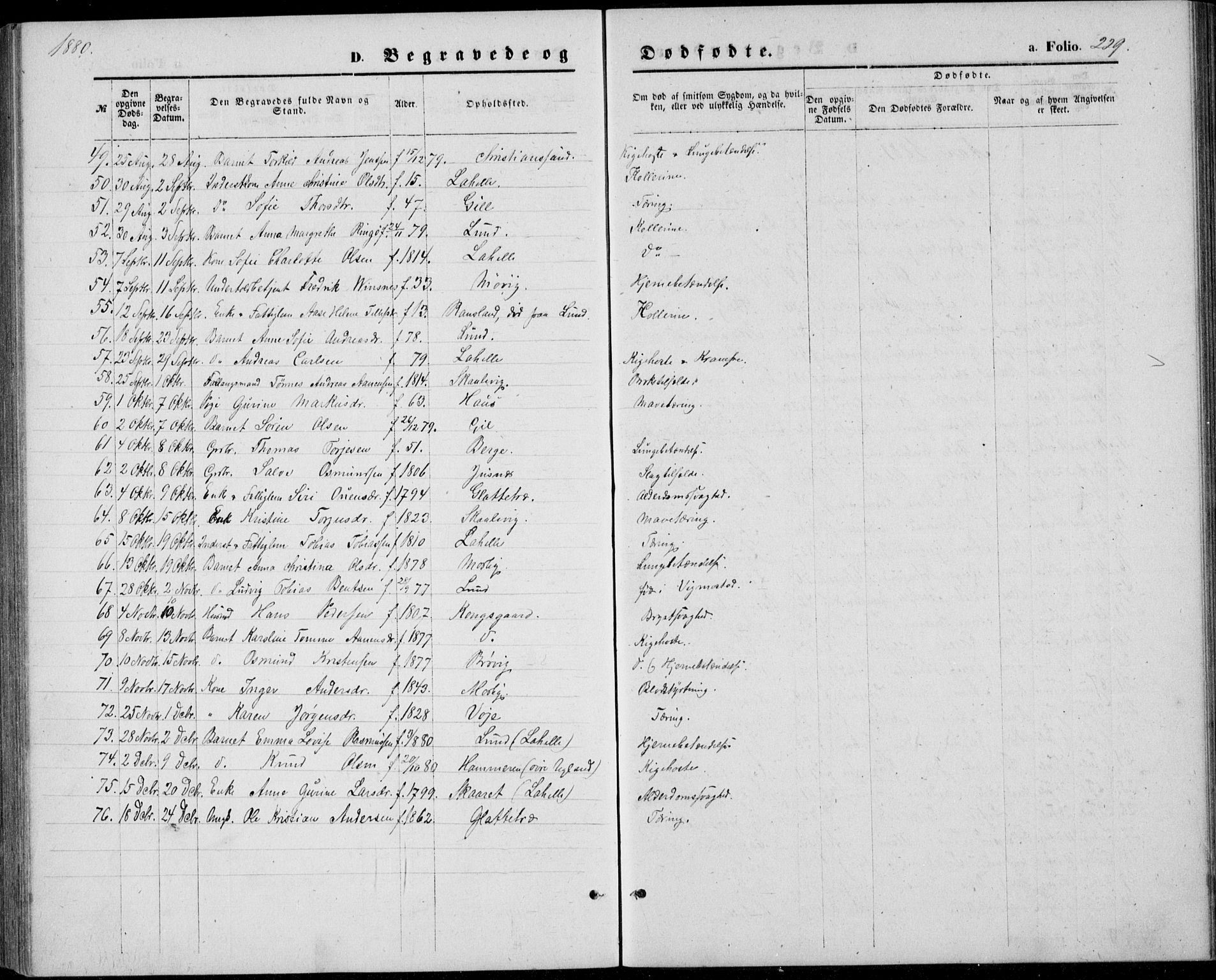 Oddernes sokneprestkontor, AV/SAK-1111-0033/F/Fb/Fba/L0007: Parish register (copy) no. B 7, 1869-1887, p. 229