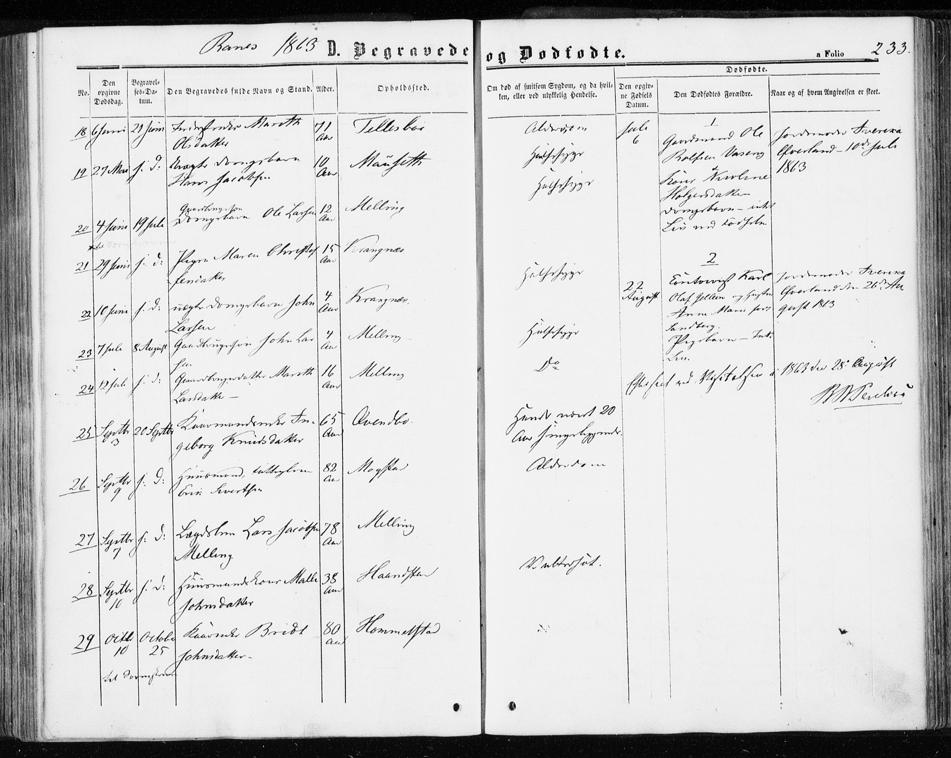 Ministerialprotokoller, klokkerbøker og fødselsregistre - Møre og Romsdal, AV/SAT-A-1454/595/L1045: Parish register (official) no. 595A07, 1863-1873, p. 233