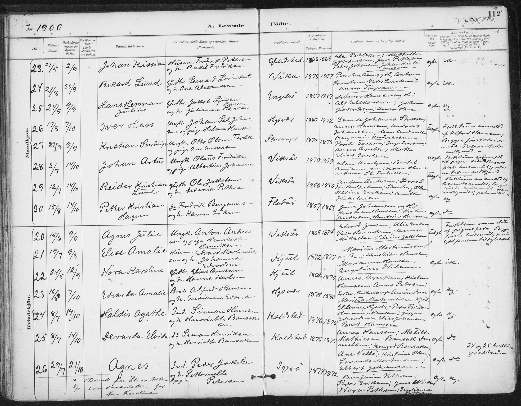 Ministerialprotokoller, klokkerbøker og fødselsregistre - Nordland, AV/SAT-A-1459/816/L0244: Parish register (official) no. 816A10, 1886-1903, p. 112