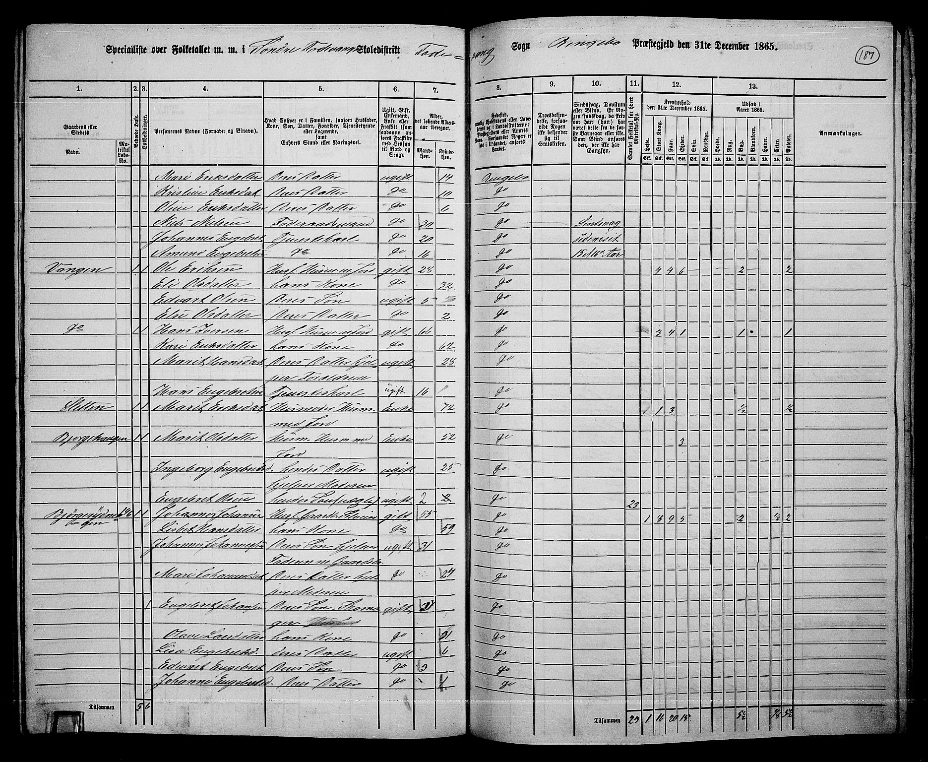 RA, 1865 census for Ringebu, 1865, p. 162