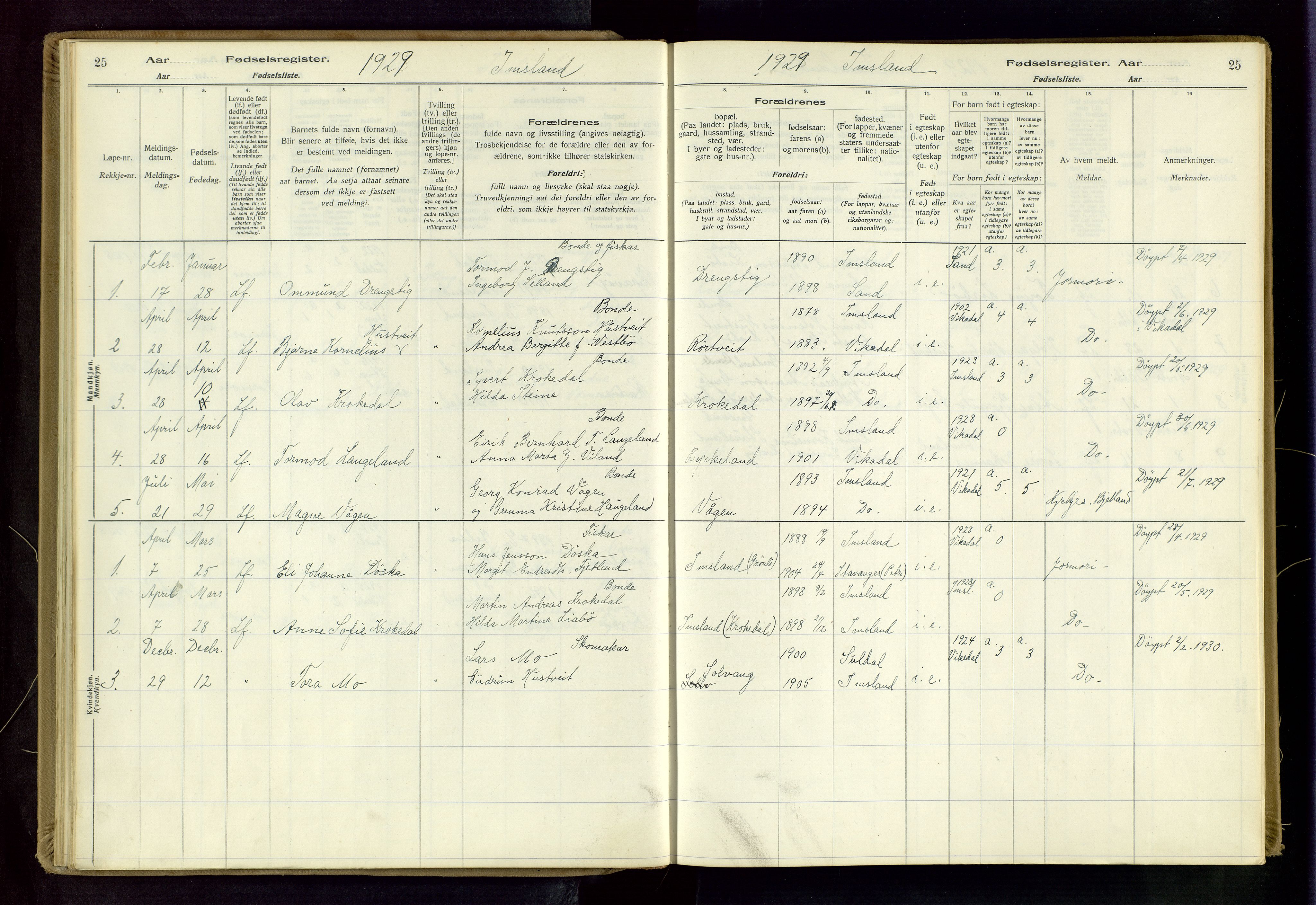 Vikedal sokneprestkontor, AV/SAST-A-101840/01/II: Birth register no. 5, 1916-1982, p. 25