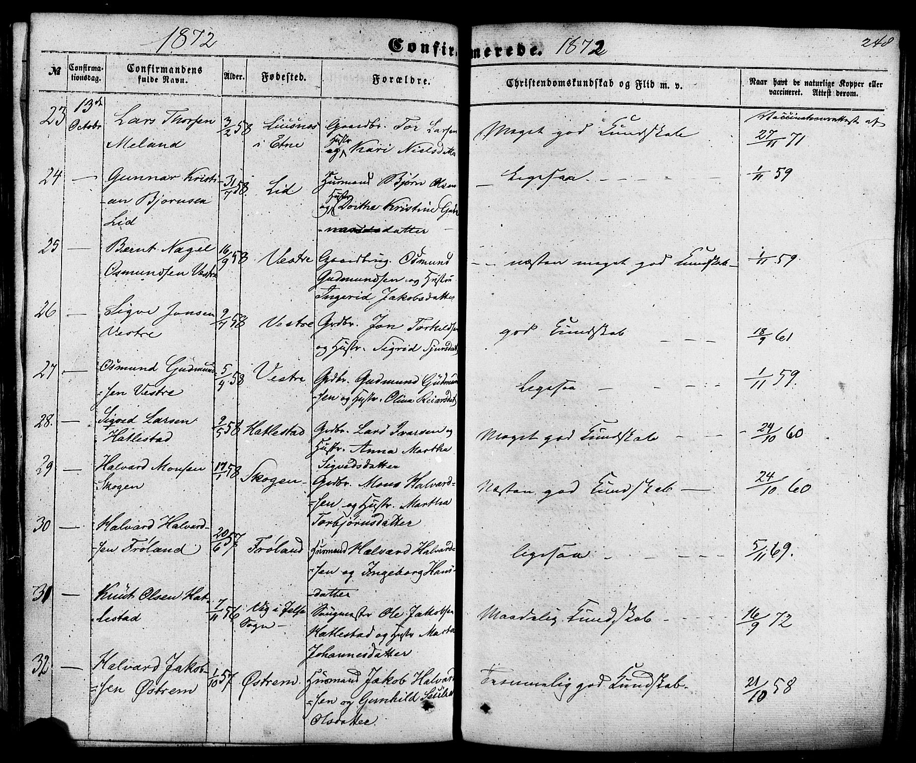 Skjold sokneprestkontor, AV/SAST-A-101847/H/Ha/Haa/L0008: Parish register (official) no. A 8, 1856-1882, p. 248