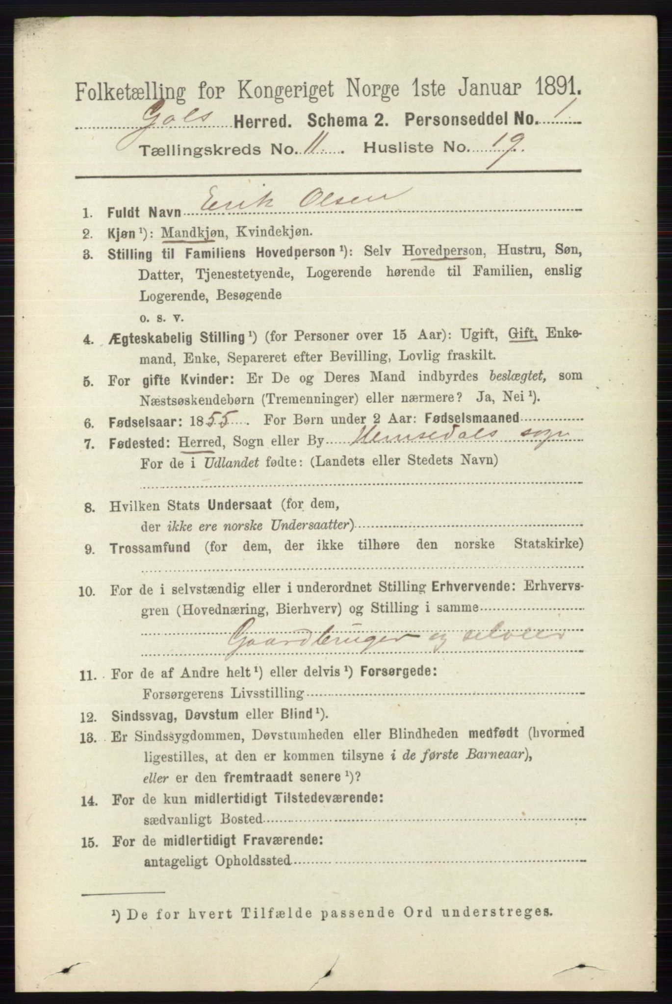 RA, 1891 census for 0617 Gol og Hemsedal, 1891, p. 4458