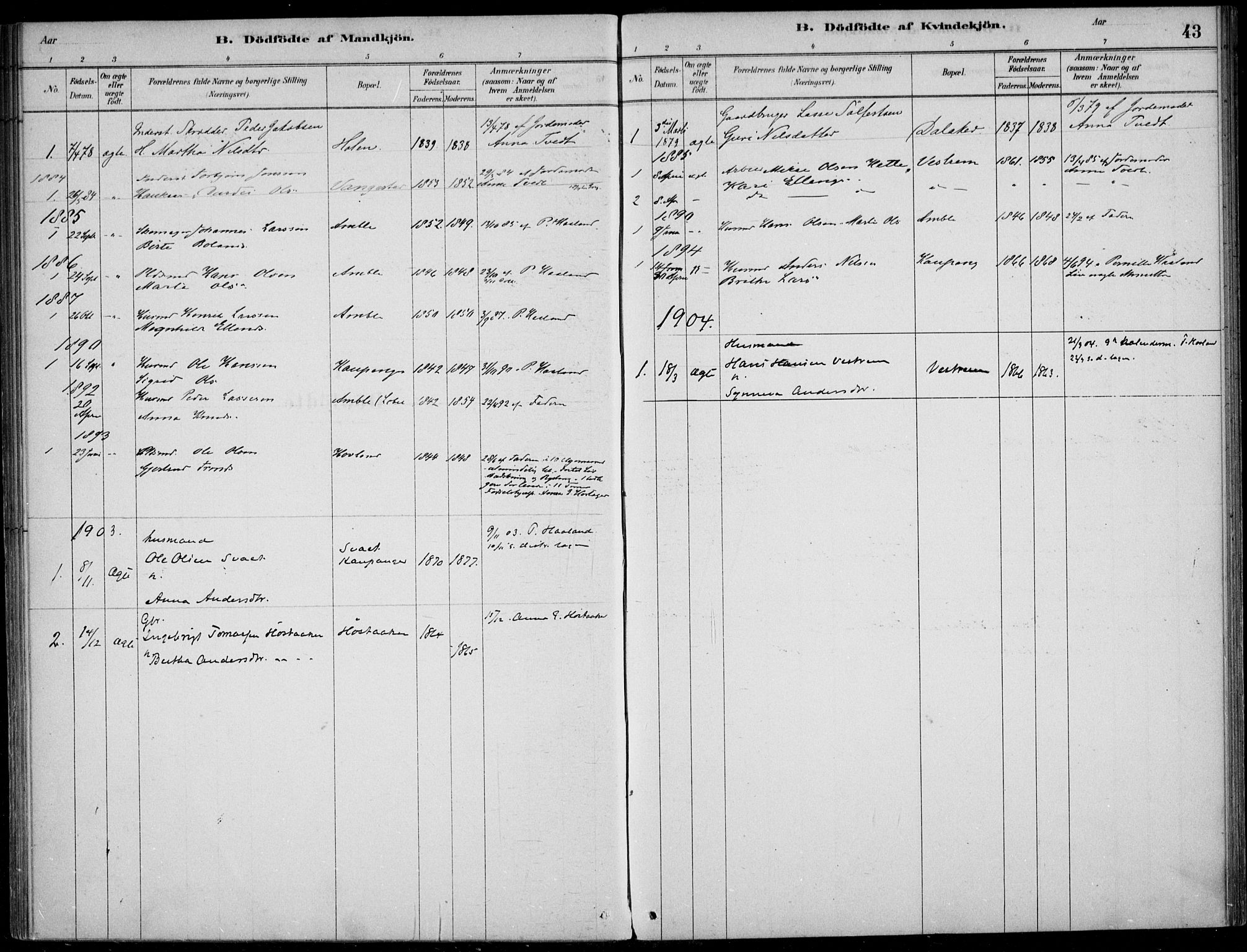 Sogndal sokneprestembete, SAB/A-81301/H/Haa/Haad/L0001: Parish register (official) no. D  1, 1878-1907, p. 43