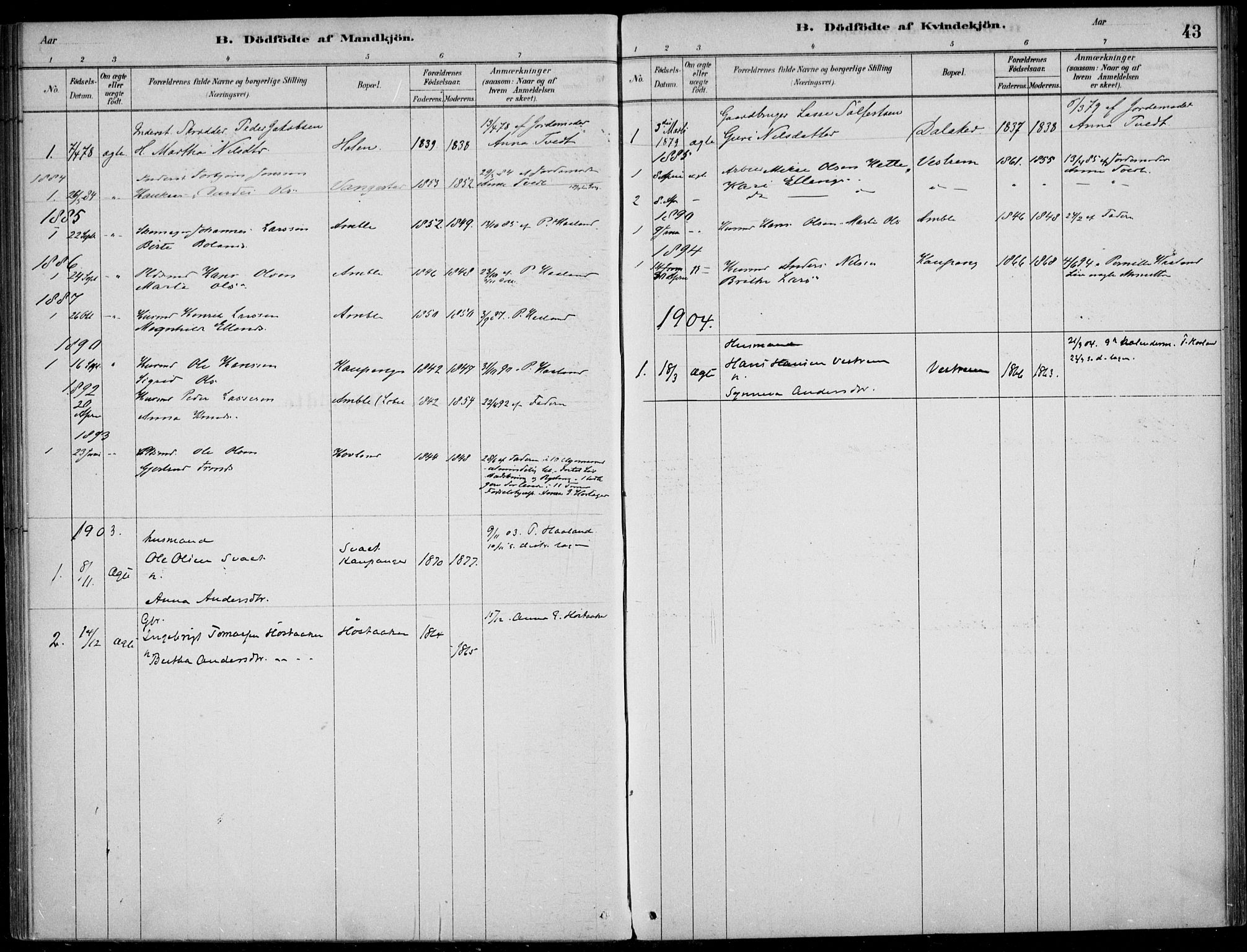 Sogndal sokneprestembete, AV/SAB-A-81301/H/Haa/Haad/L0001: Parish register (official) no. D  1, 1878-1907, p. 43