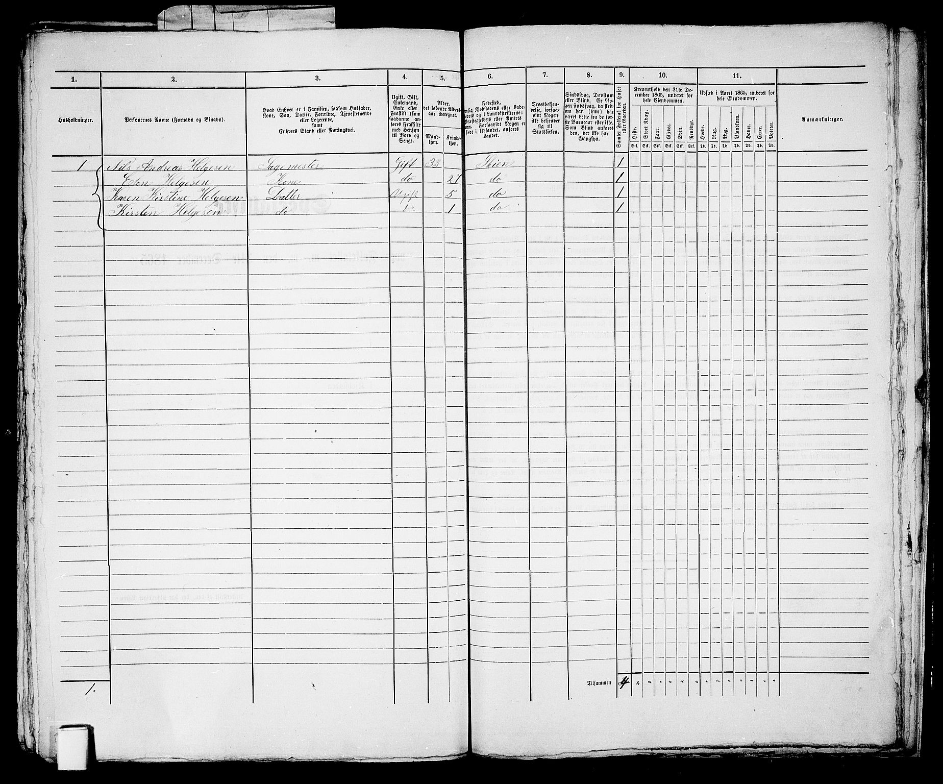 RA, 1865 census for Skien, 1865, p. 1243