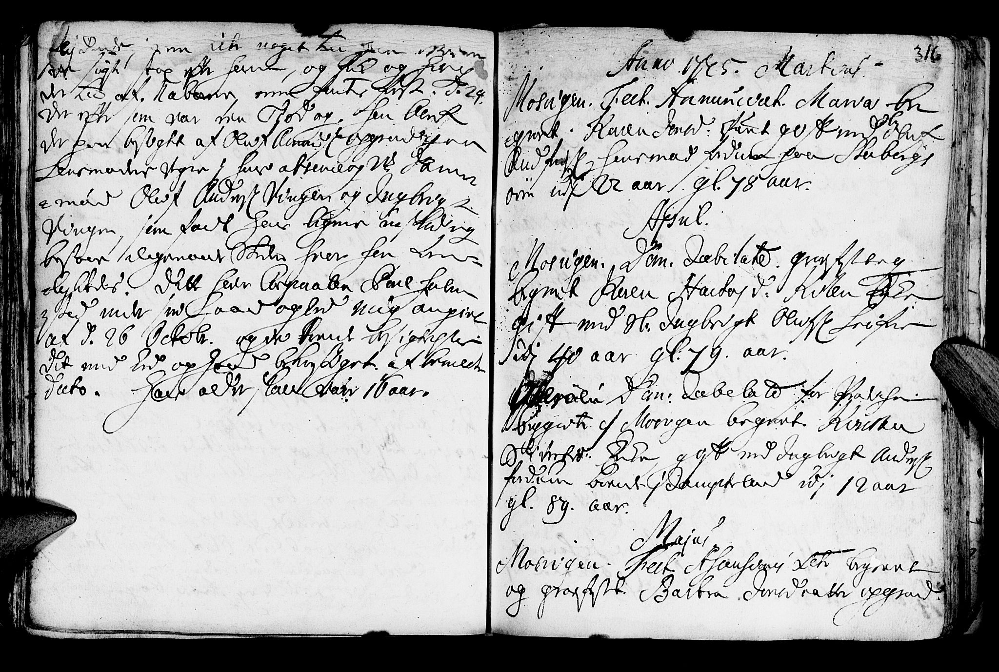 Ministerialprotokoller, klokkerbøker og fødselsregistre - Nord-Trøndelag, SAT/A-1458/722/L0215: Parish register (official) no. 722A02, 1718-1755, p. 316