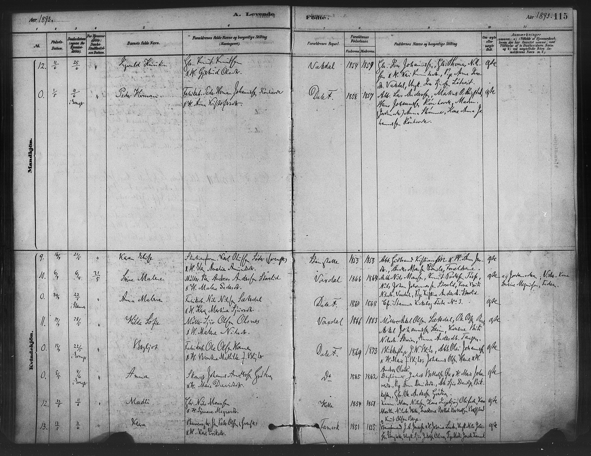 Bruvik Sokneprestembete, AV/SAB-A-74701/H/Haa: Parish register (official) no. B 1, 1878-1904, p. 115