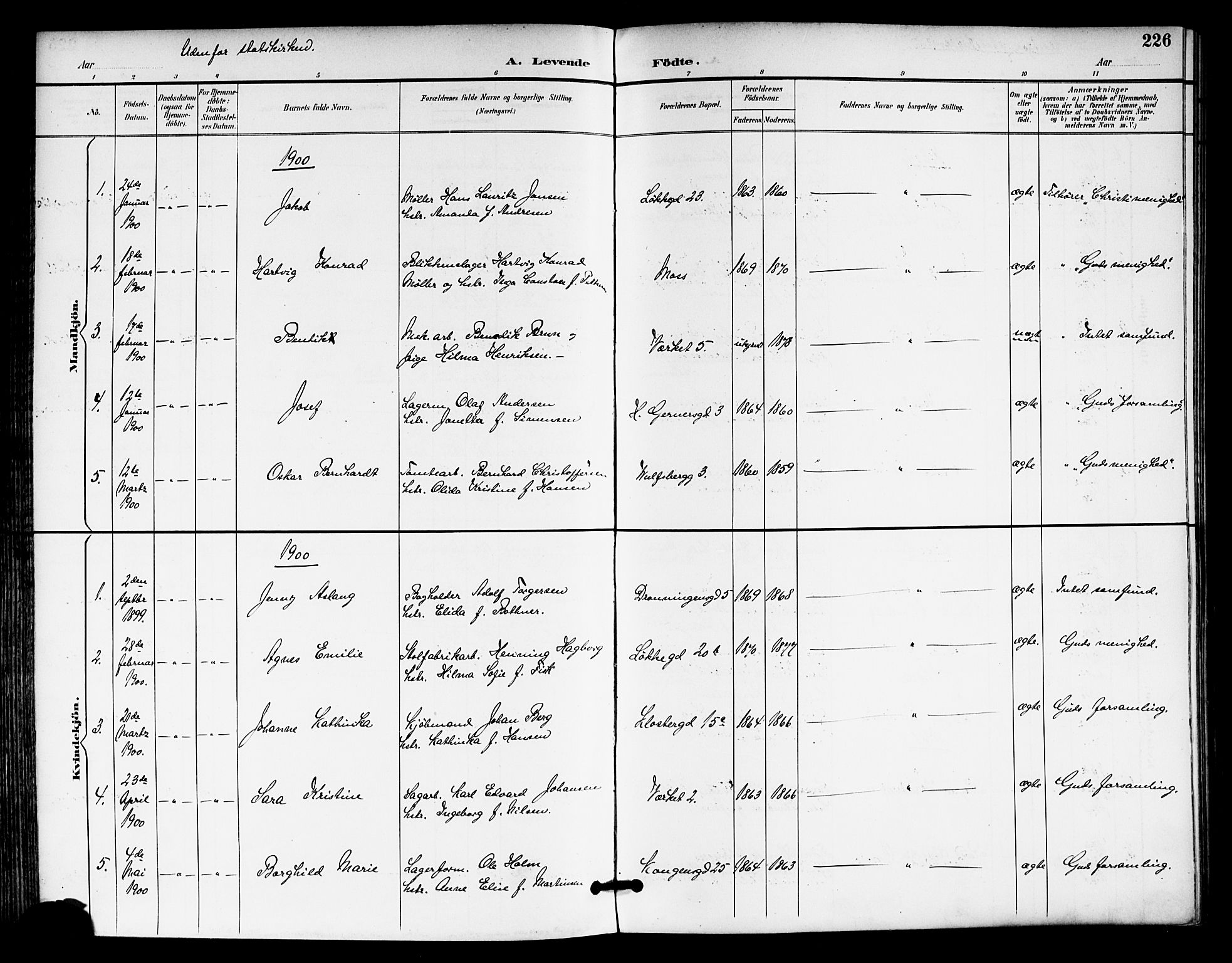 Moss prestekontor Kirkebøker, AV/SAO-A-2003/F/Fb/L0003: Parish register (official) no. II 3, 1894-1901, p. 226