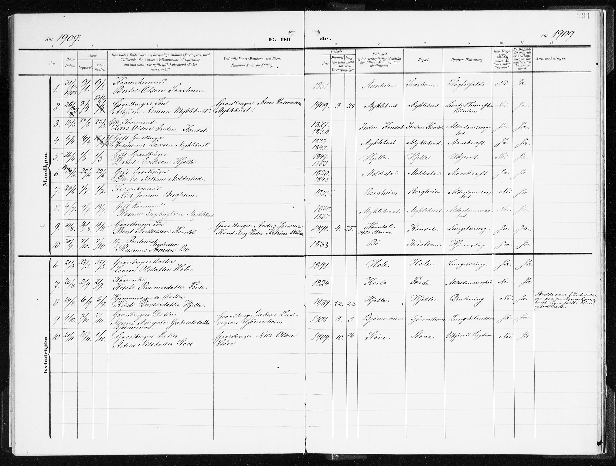 Gloppen sokneprestembete, AV/SAB-A-80101/H/Haa/Haac/L0003: Parish register (official) no. C 3, 1904-1921, p. 231