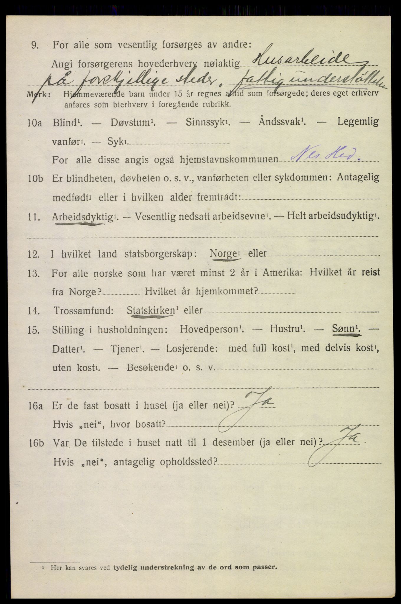 SAH, 1920 census for Nes (Hedmark), 1920, p. 6559