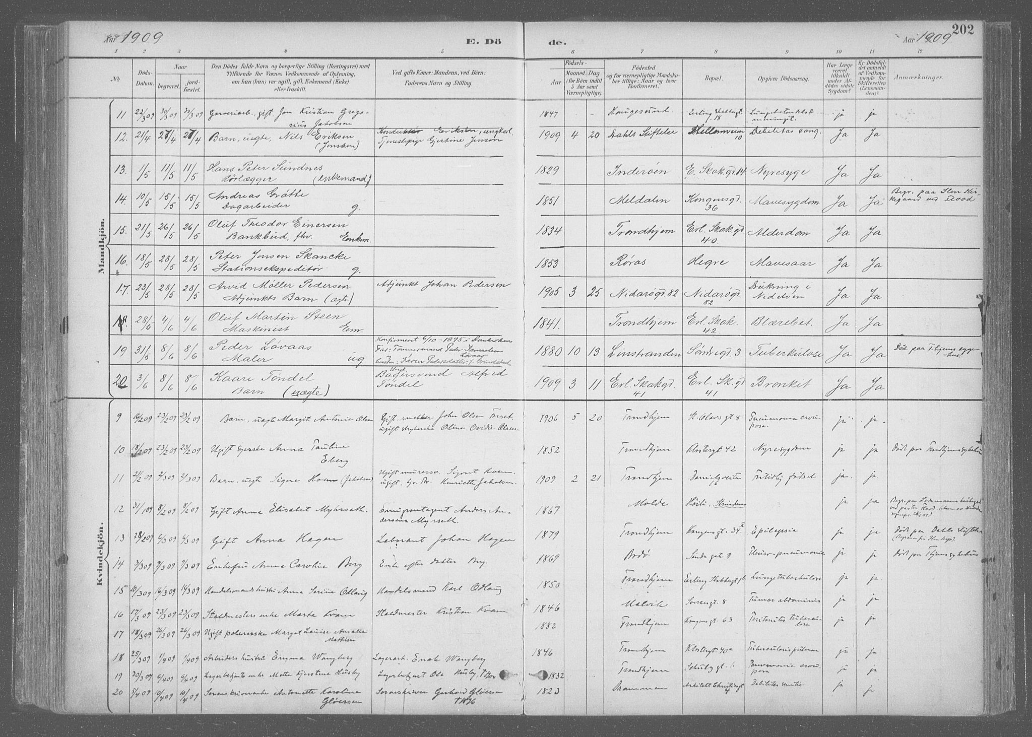 Ministerialprotokoller, klokkerbøker og fødselsregistre - Sør-Trøndelag, SAT/A-1456/601/L0064: Parish register (official) no. 601A31, 1891-1911, p. 202