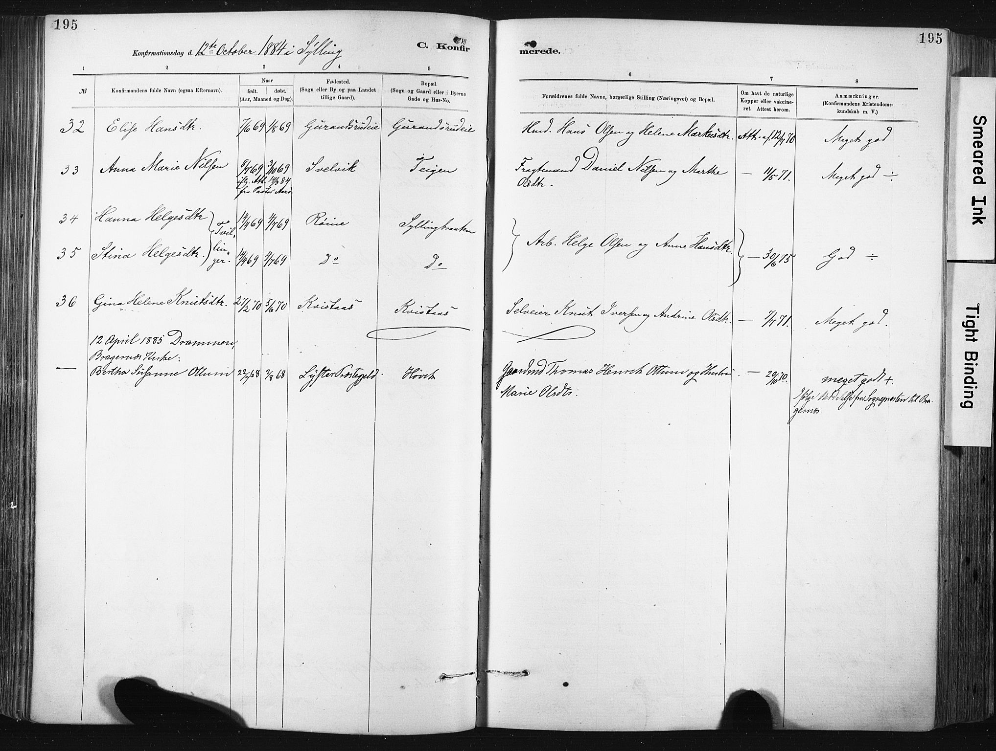 Lier kirkebøker, SAKO/A-230/F/Fa/L0015: Parish register (official) no. I 15, 1883-1894, p. 195