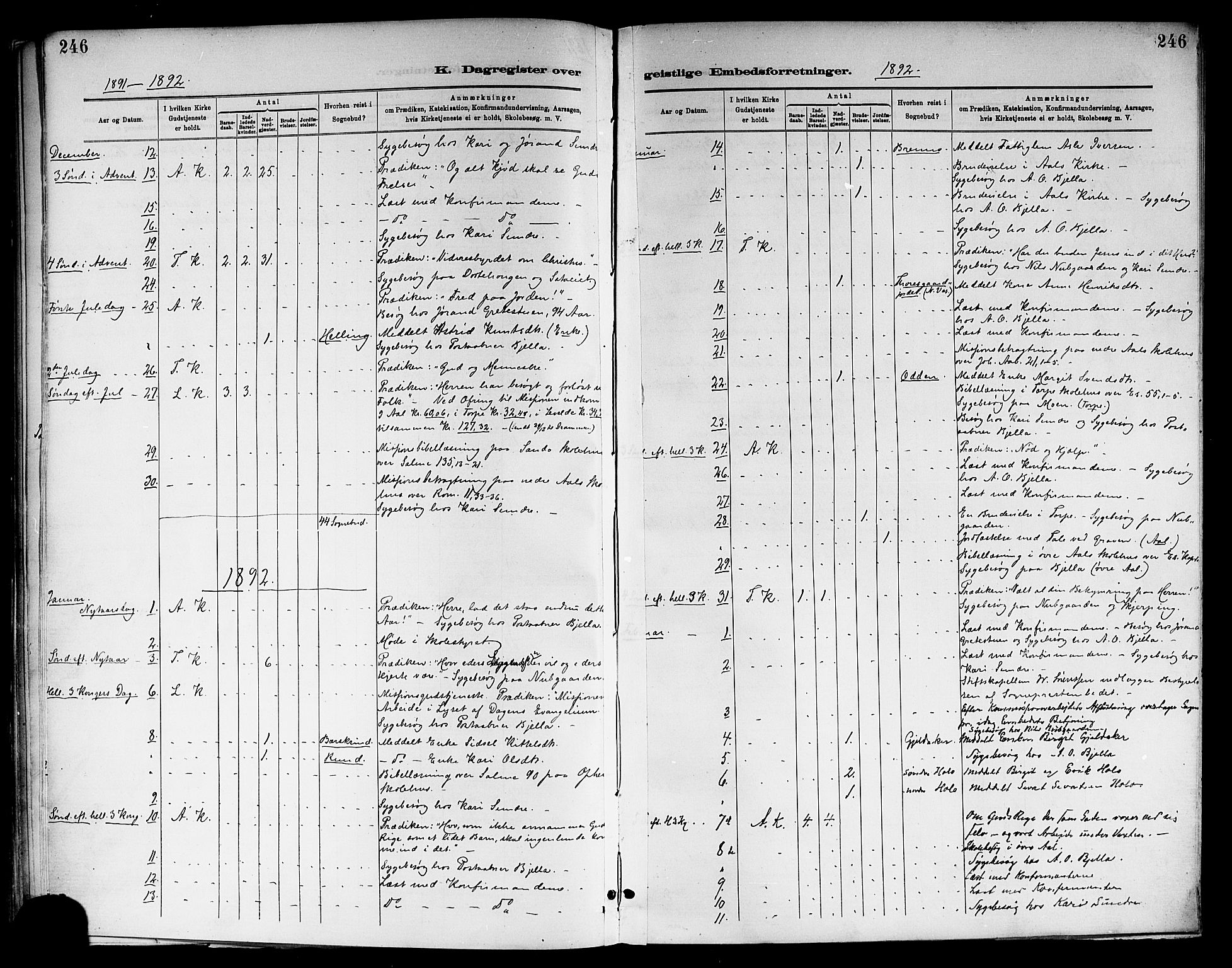Ål kirkebøker, SAKO/A-249/F/Fa/L0008: Parish register (official) no. I 8, 1882-1896, p. 246