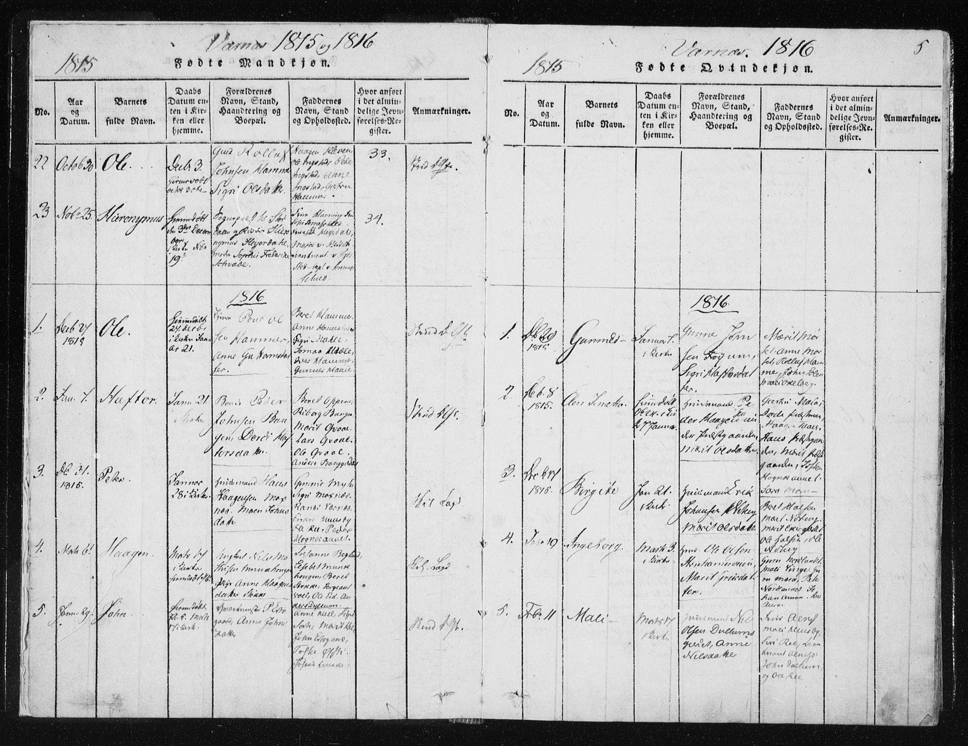 Ministerialprotokoller, klokkerbøker og fødselsregistre - Nord-Trøndelag, SAT/A-1458/709/L0061: Parish register (official) no. 709A08 /1, 1815-1819, p. 5