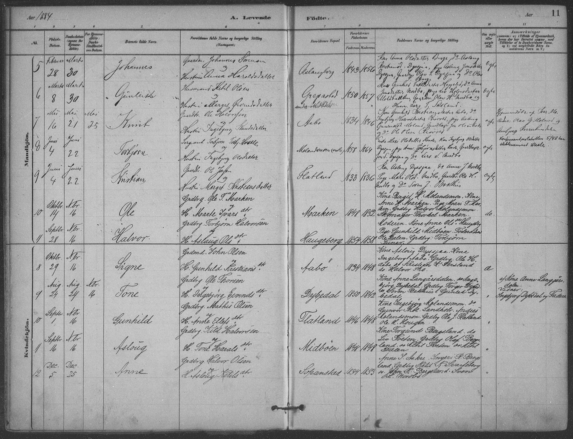 Hjartdal kirkebøker, SAKO/A-270/F/Fa/L0010: Parish register (official) no. I 10, 1880-1929, p. 11