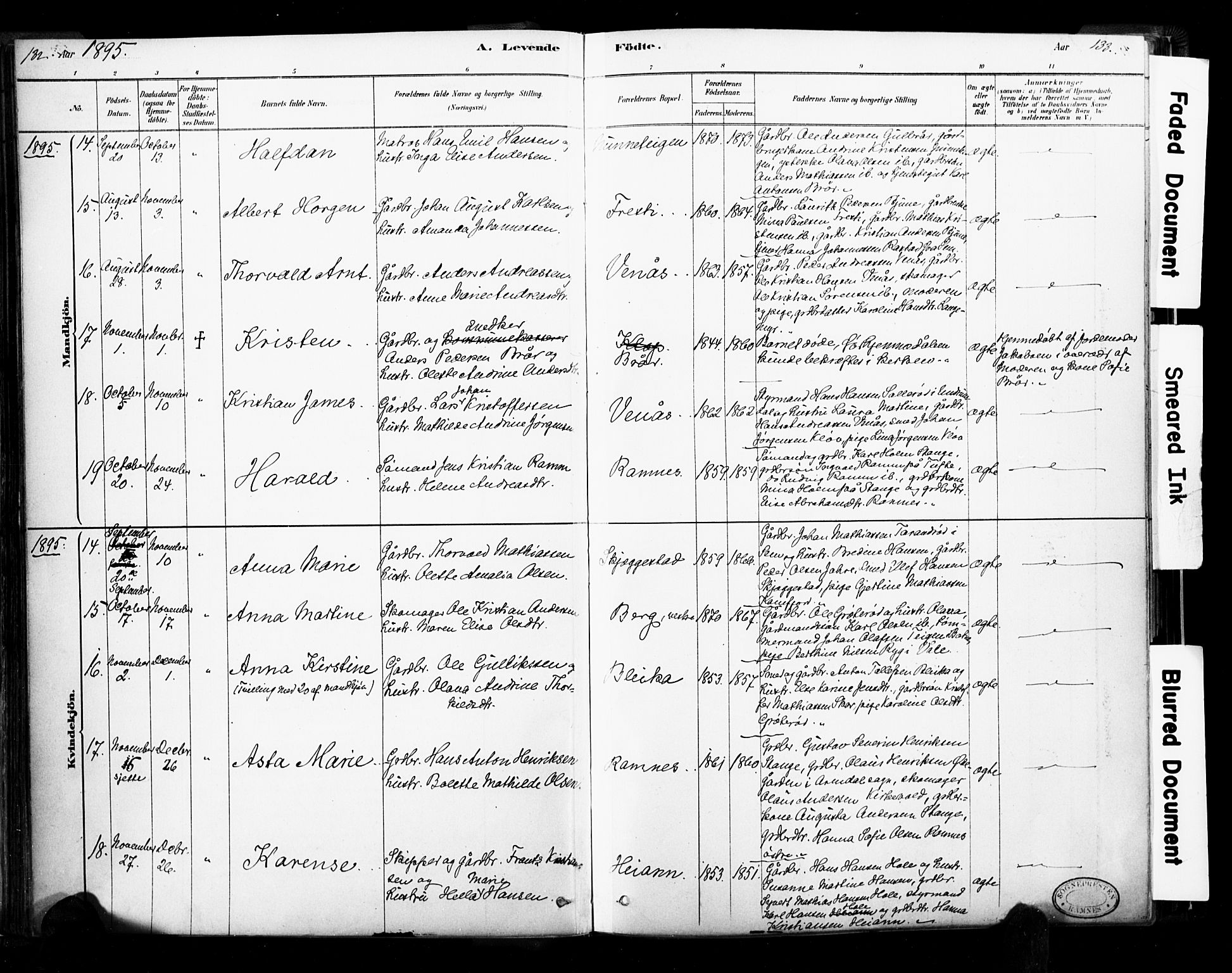 Ramnes kirkebøker, SAKO/A-314/F/Fa/L0007: Parish register (official) no. I 7, 1878-1895, p. 132-133