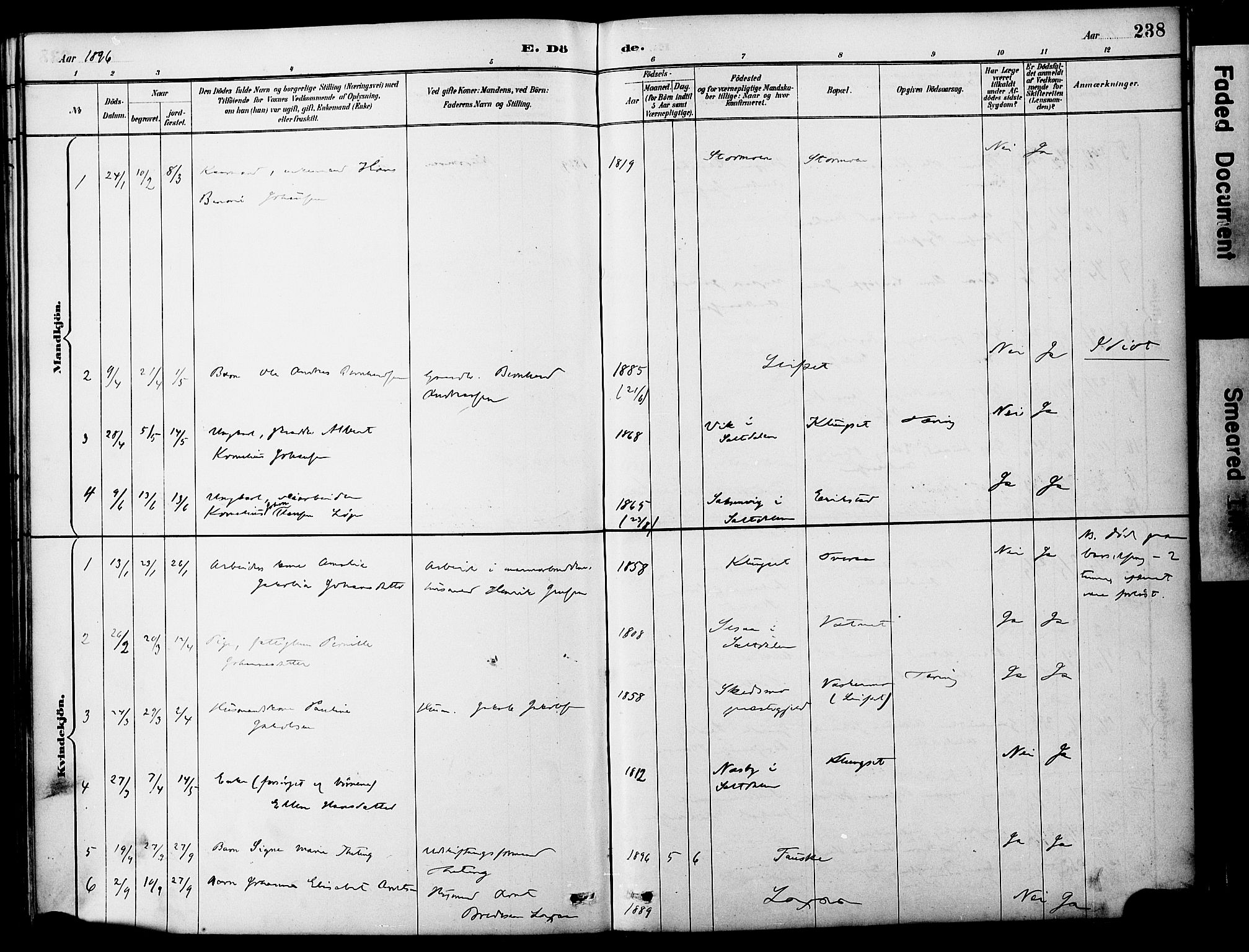 Ministerialprotokoller, klokkerbøker og fødselsregistre - Nordland, AV/SAT-A-1459/849/L0690: Parish register (official) no. 849A02, 1890-1897, p. 238