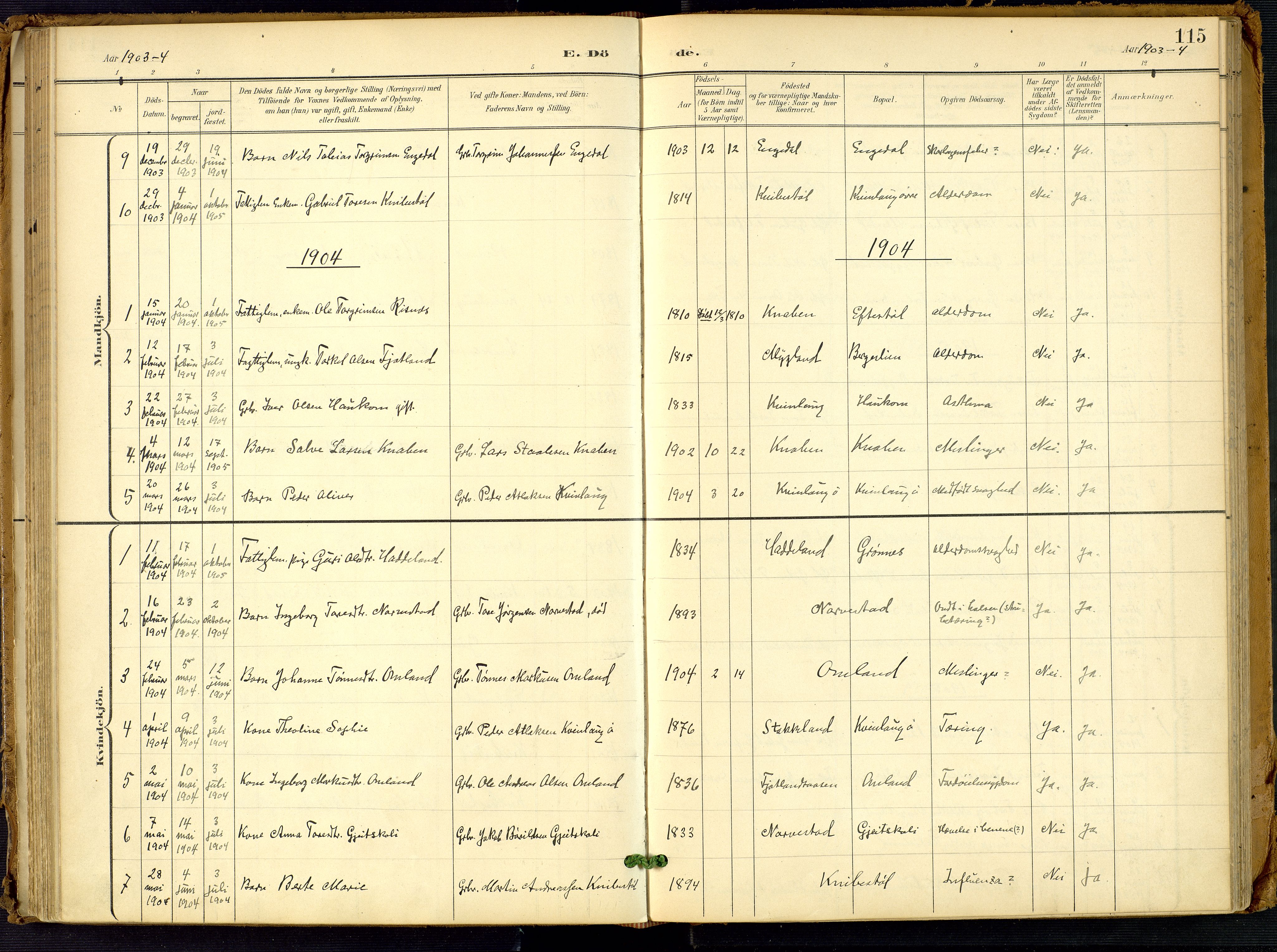 Fjotland sokneprestkontor, AV/SAK-1111-0010/F/Fa/L0003: Parish register (official) no. A 3, 1899-1917, p. 115