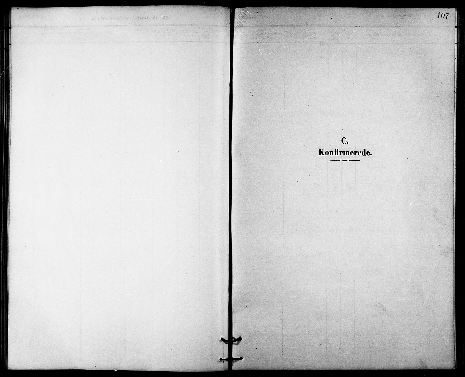 Målselv sokneprestembete, SATØ/S-1311/G/Ga/Gab/L0004klokker: Parish register (copy) no. 4, 1885-1901, p. 107