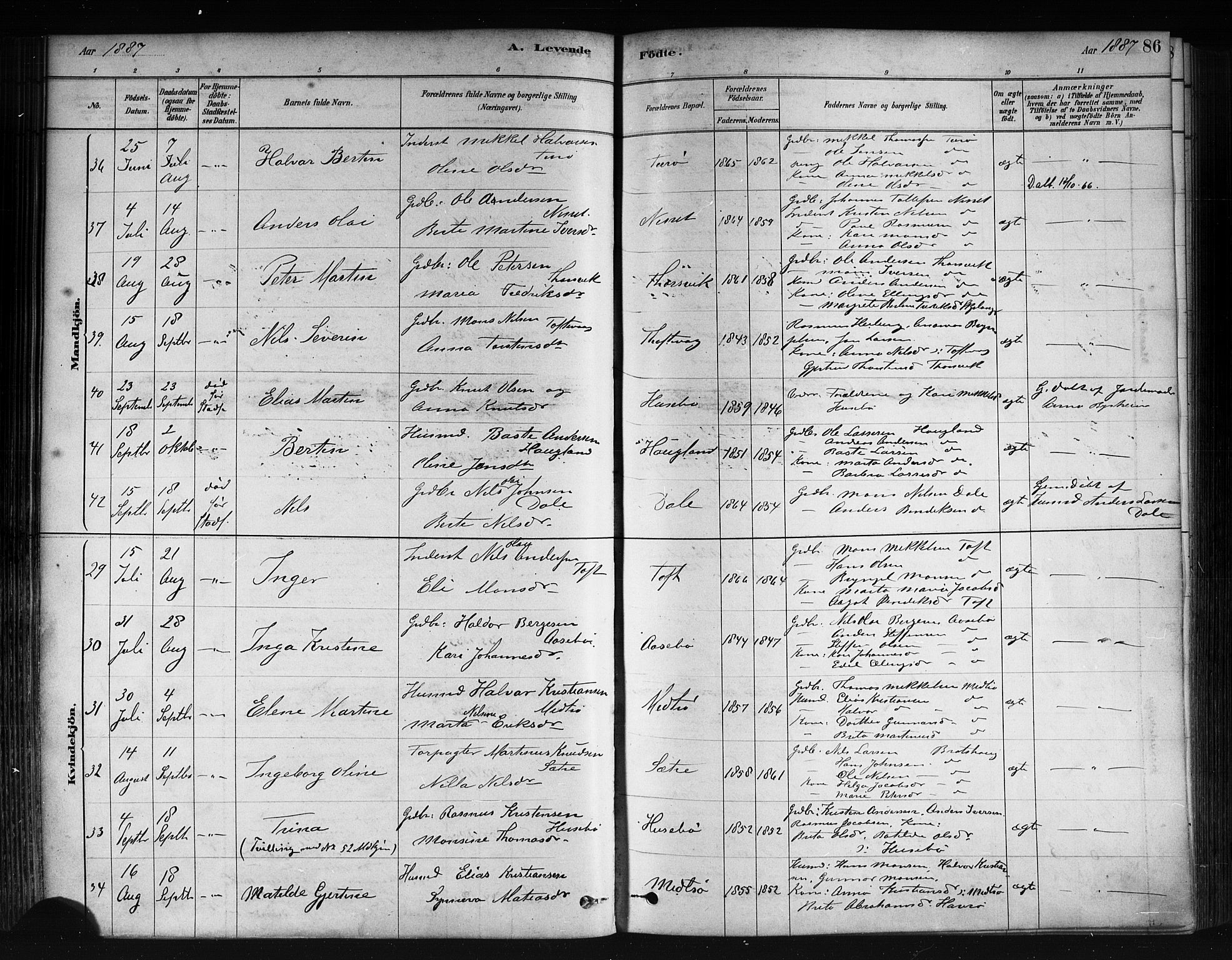 Herdla Sokneprestembete, AV/SAB-A-75701/H/Haa: Parish register (official) no. A 3, 1878-1890, p. 86