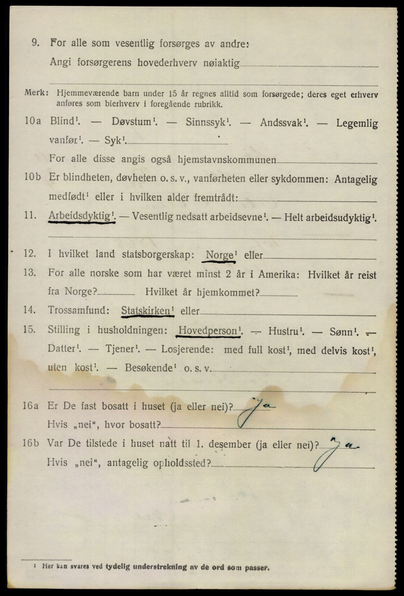 SAO, 1920 census for Nes, 1920, p. 11951