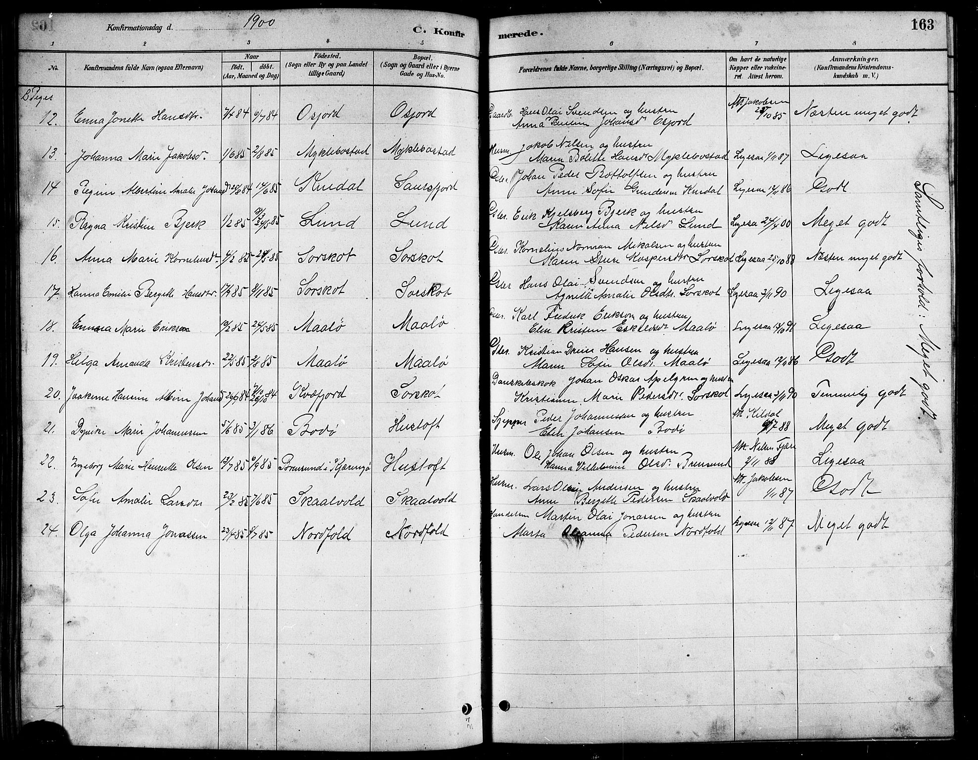 Ministerialprotokoller, klokkerbøker og fødselsregistre - Nordland, AV/SAT-A-1459/857/L0828: Parish register (copy) no. 857C03, 1879-1908, p. 163