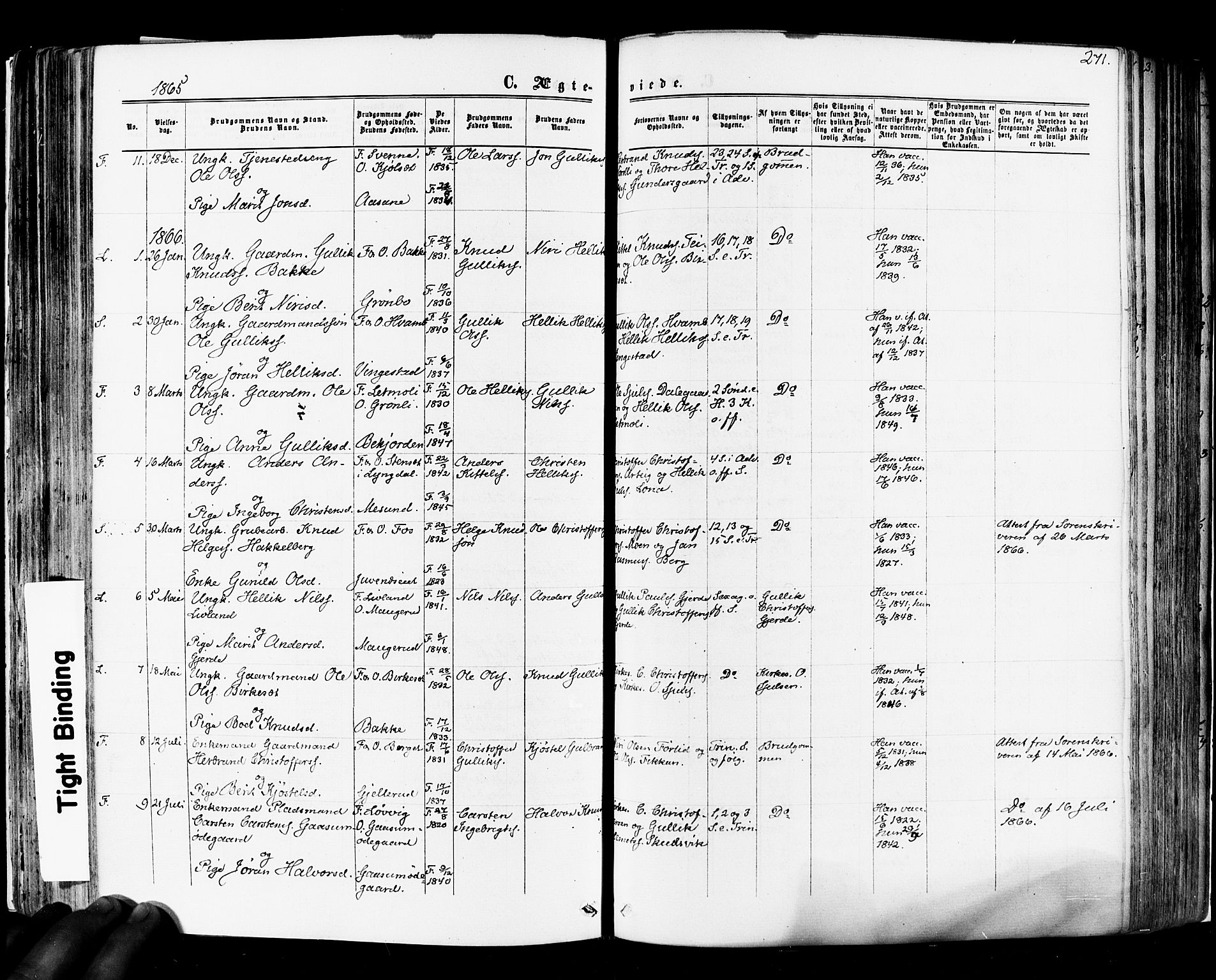 Flesberg kirkebøker, SAKO/A-18/F/Fa/L0007: Parish register (official) no. I 7, 1861-1878, p. 271