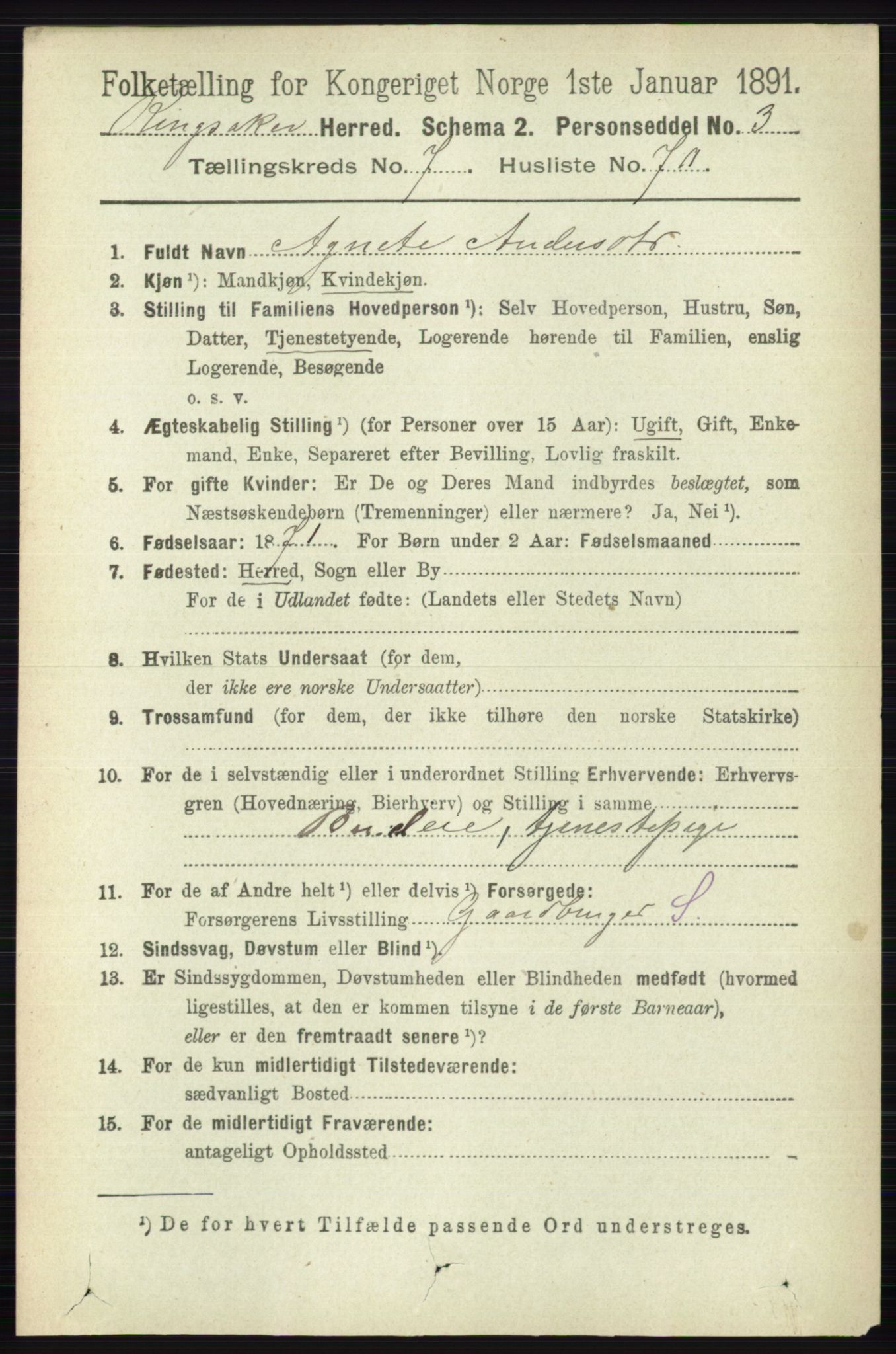 RA, 1891 census for 0412 Ringsaker, 1891, p. 4358