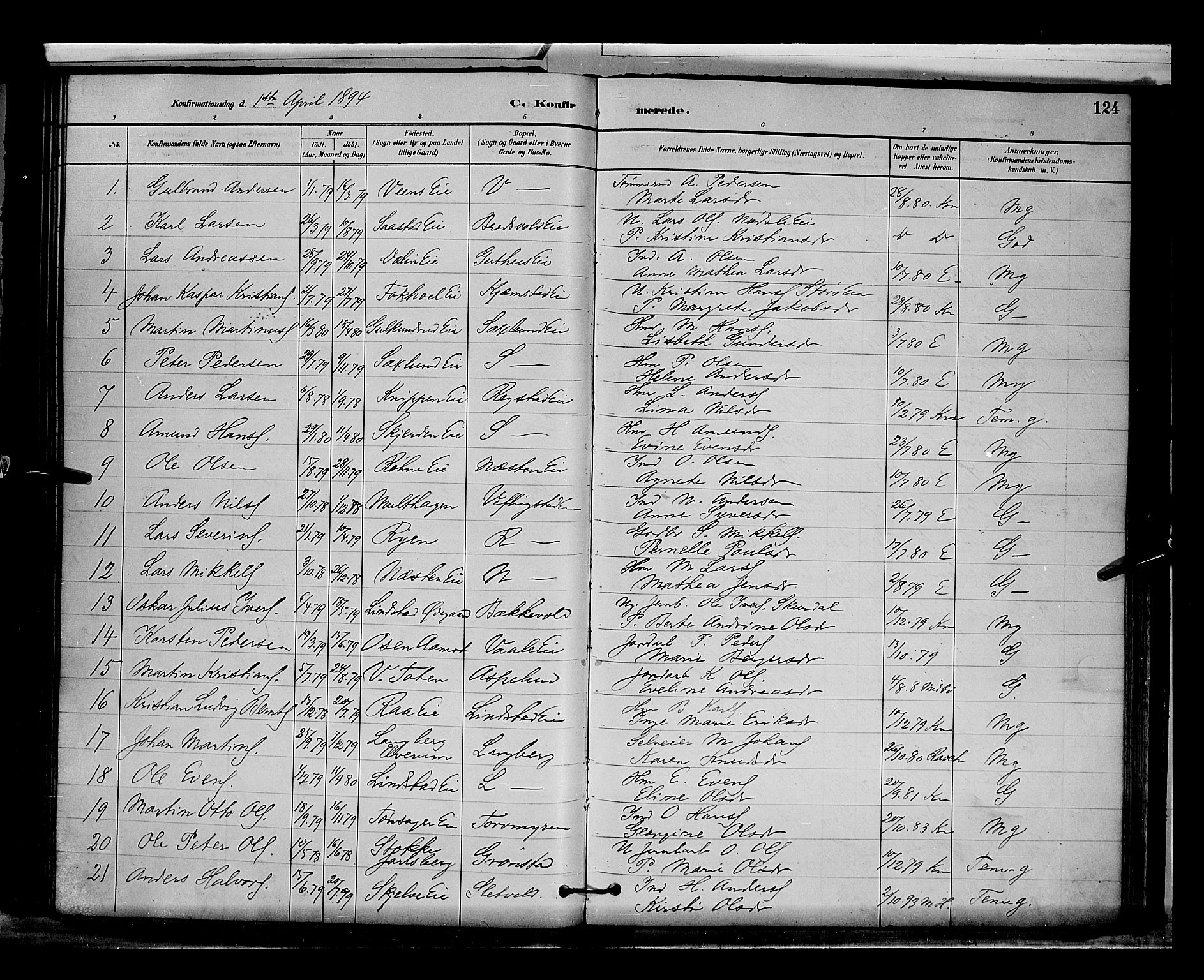 Stange prestekontor, AV/SAH-PREST-002/L/L0009: Parish register (copy) no. 9, 1883-1899, p. 124