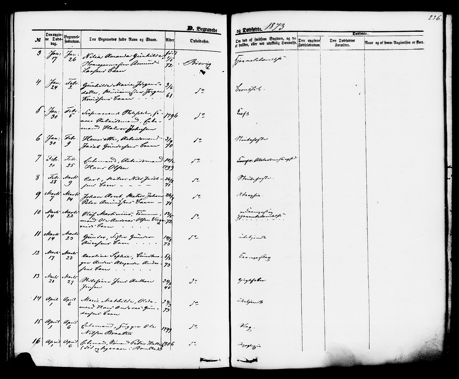 Brevik kirkebøker, SAKO/A-255/F/Fa/L0006: Parish register (official) no. 6, 1866-1881, p. 236