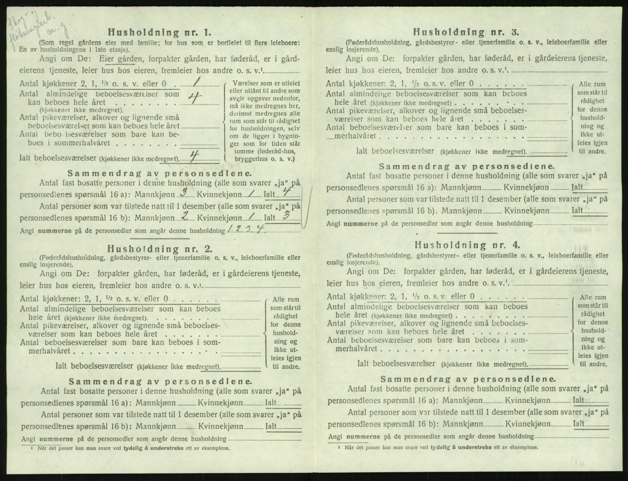 SAK, 1920 census for Hornnes, 1920, p. 382