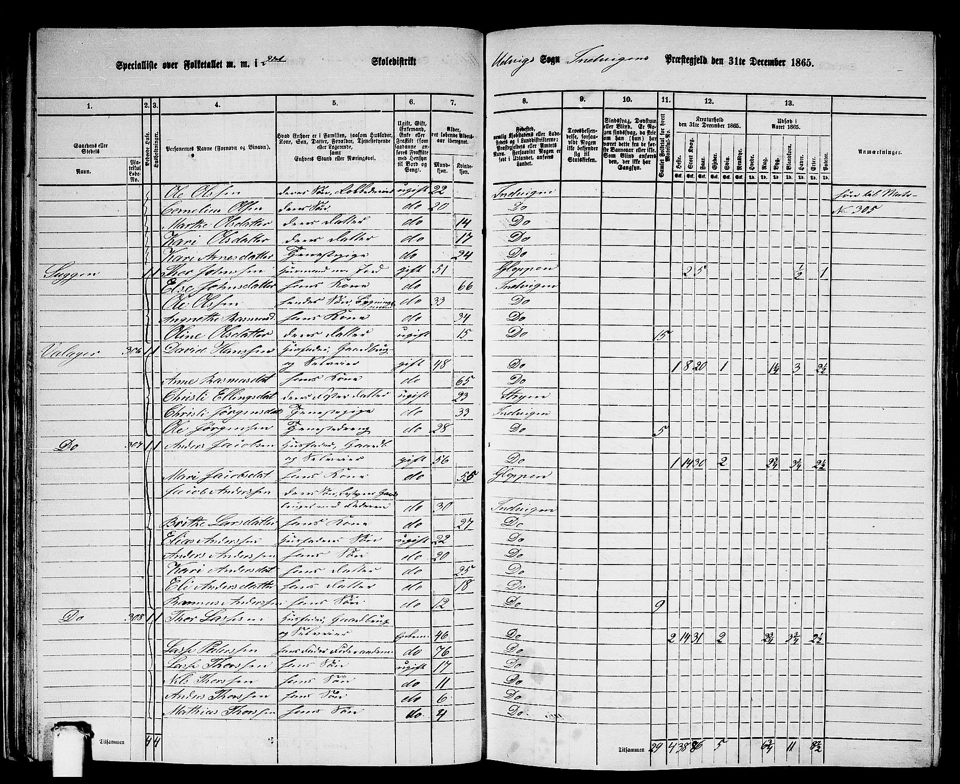 RA, 1865 census for Innvik, 1865, p. 38