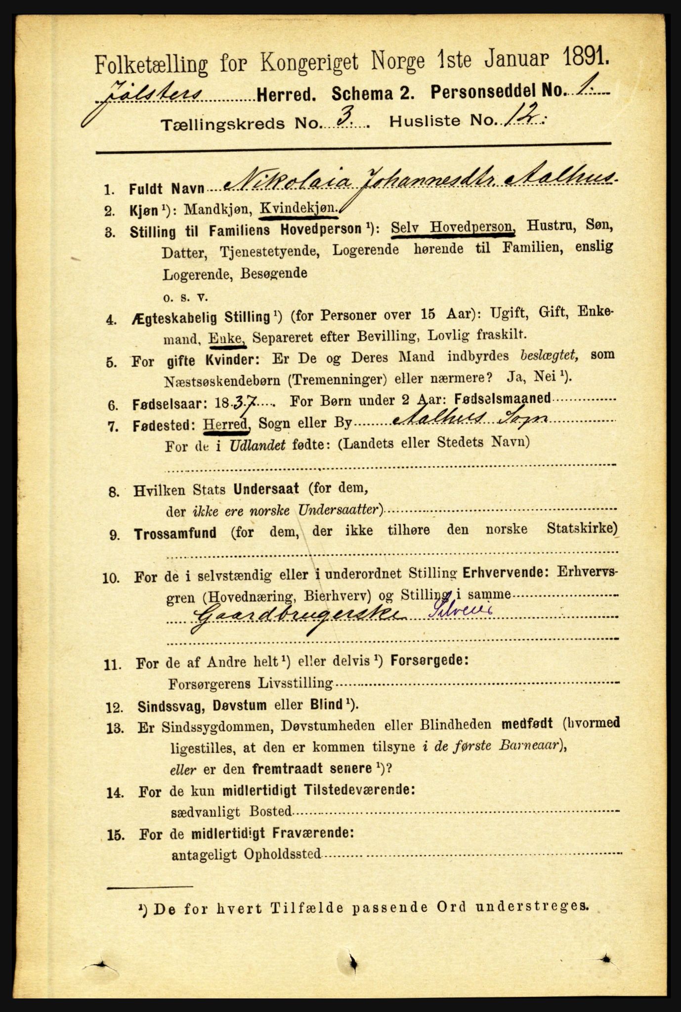 RA, 1891 census for 1431 Jølster, 1891, p. 1050