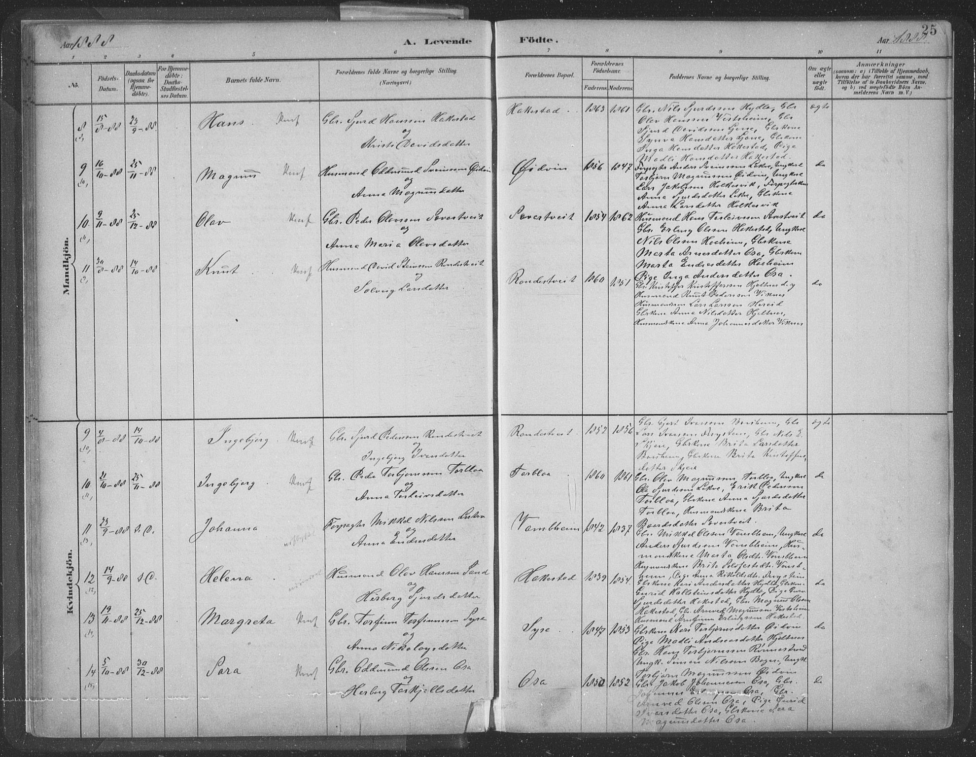 Ulvik sokneprestembete, AV/SAB-A-78801/H/Hab: Parish register (copy) no. A 3, 1883-1908, p. 25