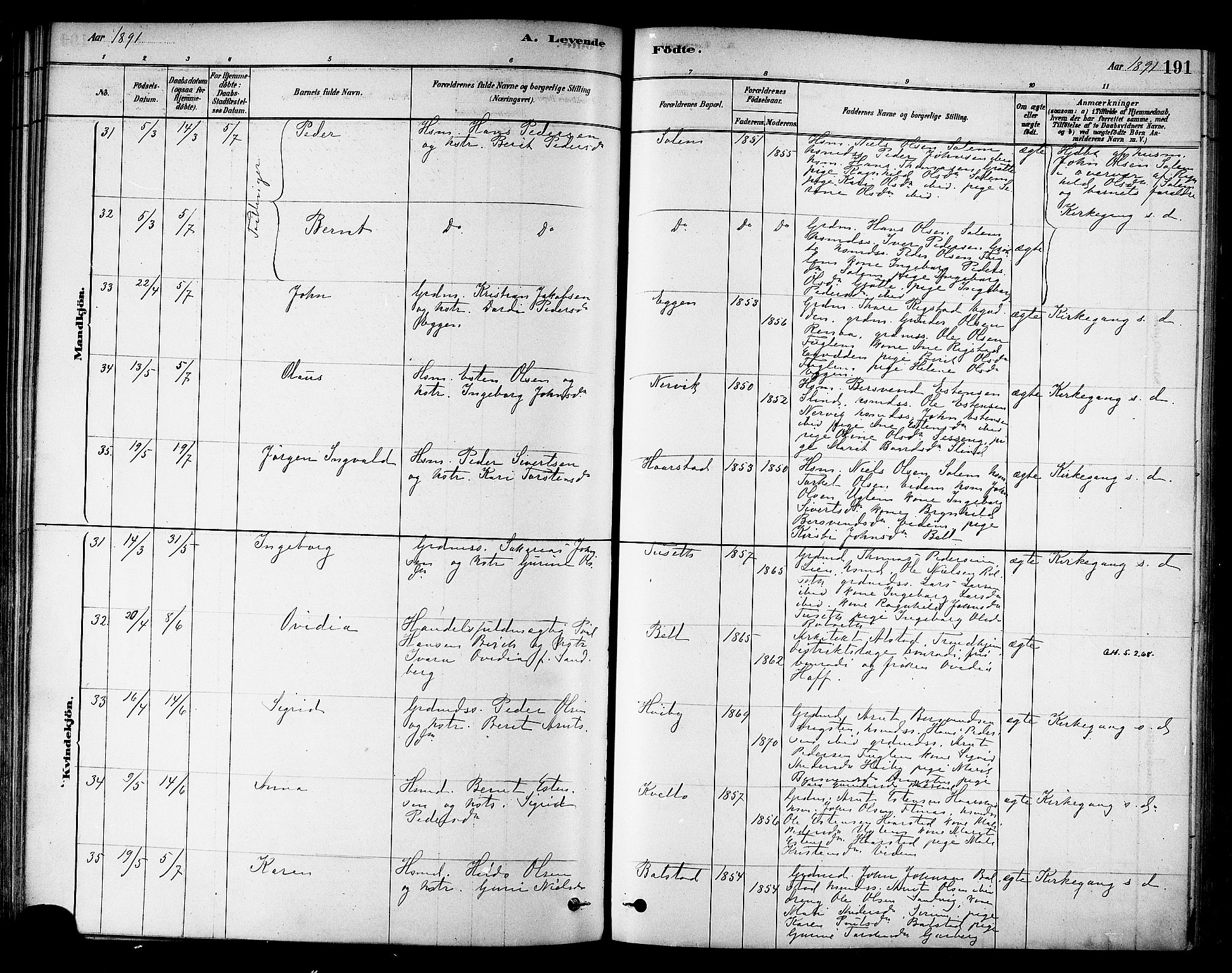 Ministerialprotokoller, klokkerbøker og fødselsregistre - Sør-Trøndelag, AV/SAT-A-1456/695/L1148: Parish register (official) no. 695A08, 1878-1891, p. 191