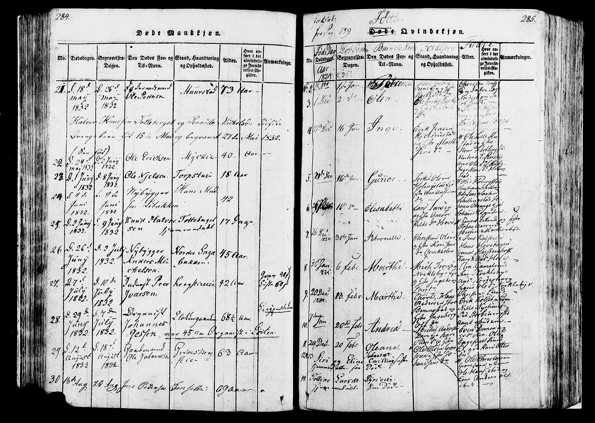 Løten prestekontor, SAH/PREST-022/K/Ka/L0005: Parish register (official) no. 5, 1814-1832, p. 284-285