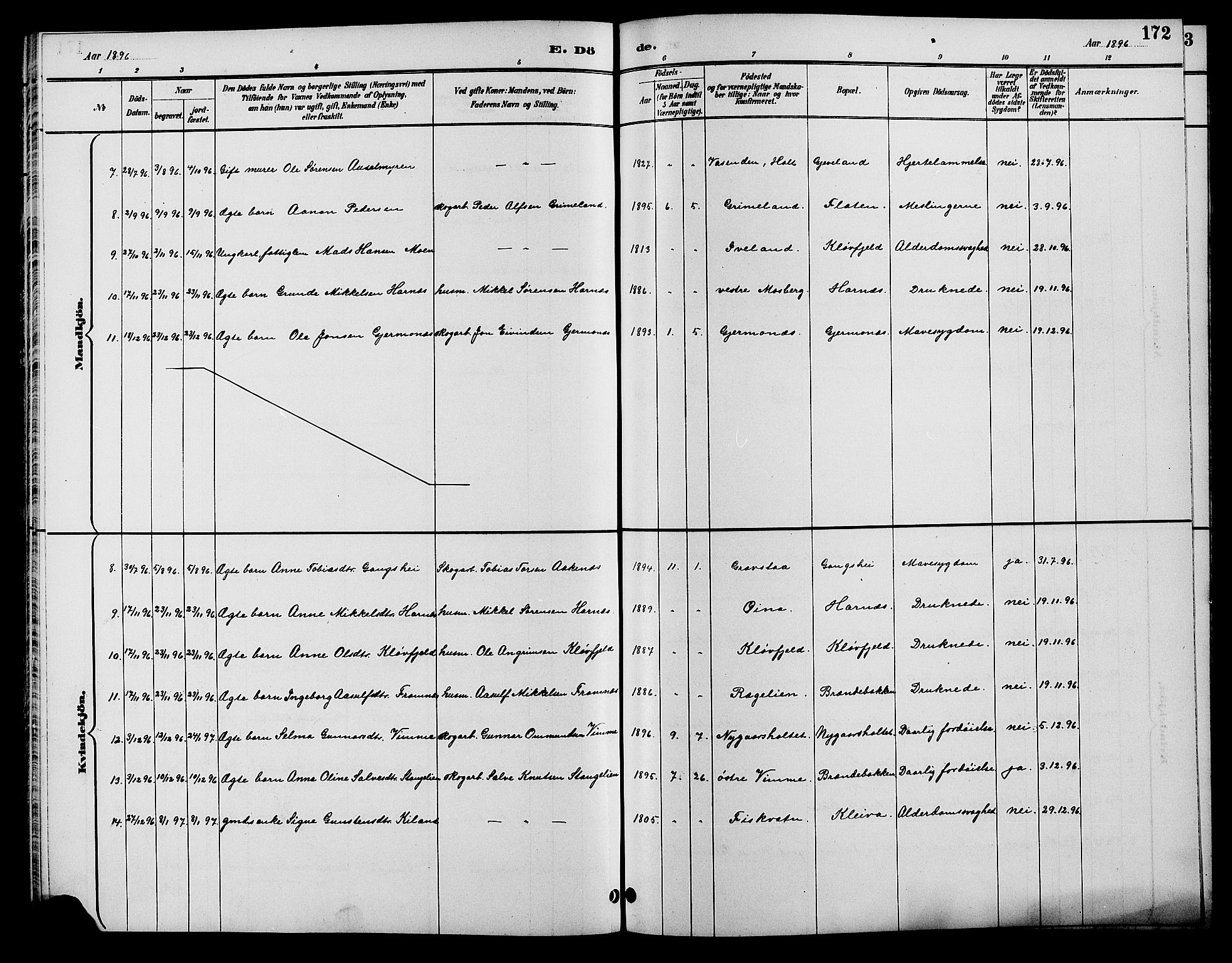 Åmli sokneprestkontor, AV/SAK-1111-0050/F/Fb/Fbc/L0004: Parish register (copy) no. B 4, 1889-1902, p. 172