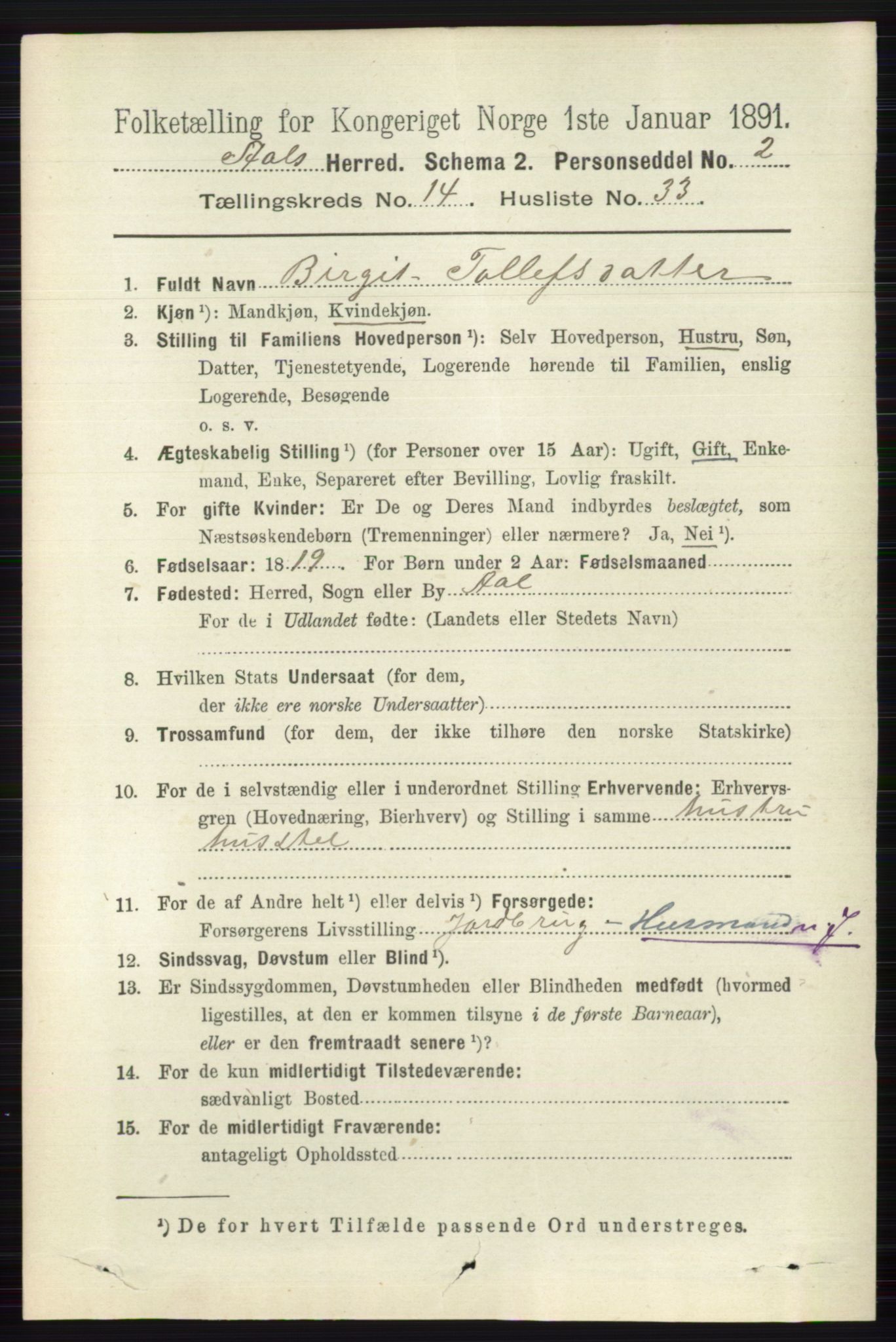 RA, 1891 census for 0619 Ål, 1891, p. 3706