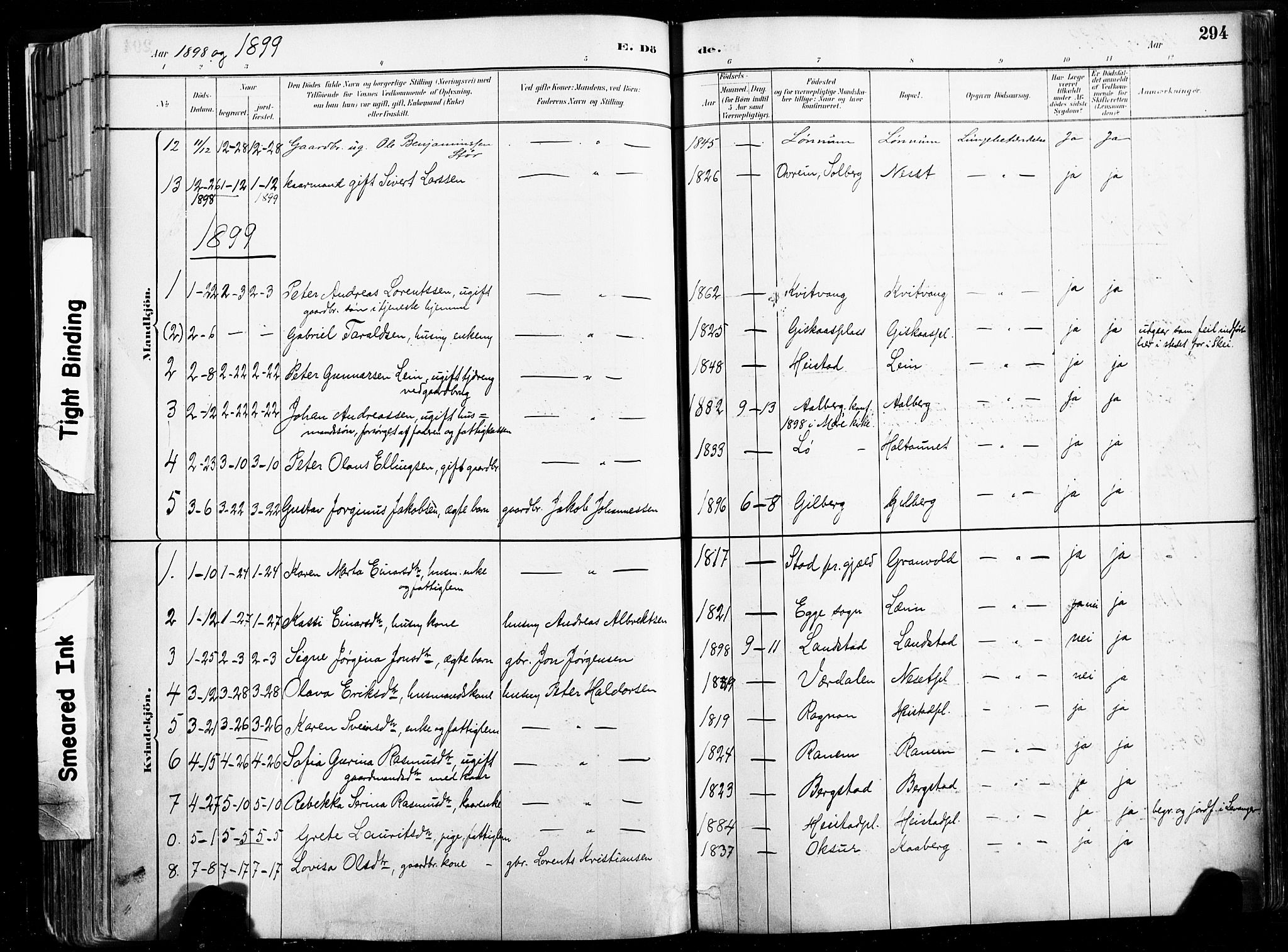 Ministerialprotokoller, klokkerbøker og fødselsregistre - Nord-Trøndelag, SAT/A-1458/735/L0351: Parish register (official) no. 735A10, 1884-1908, p. 294