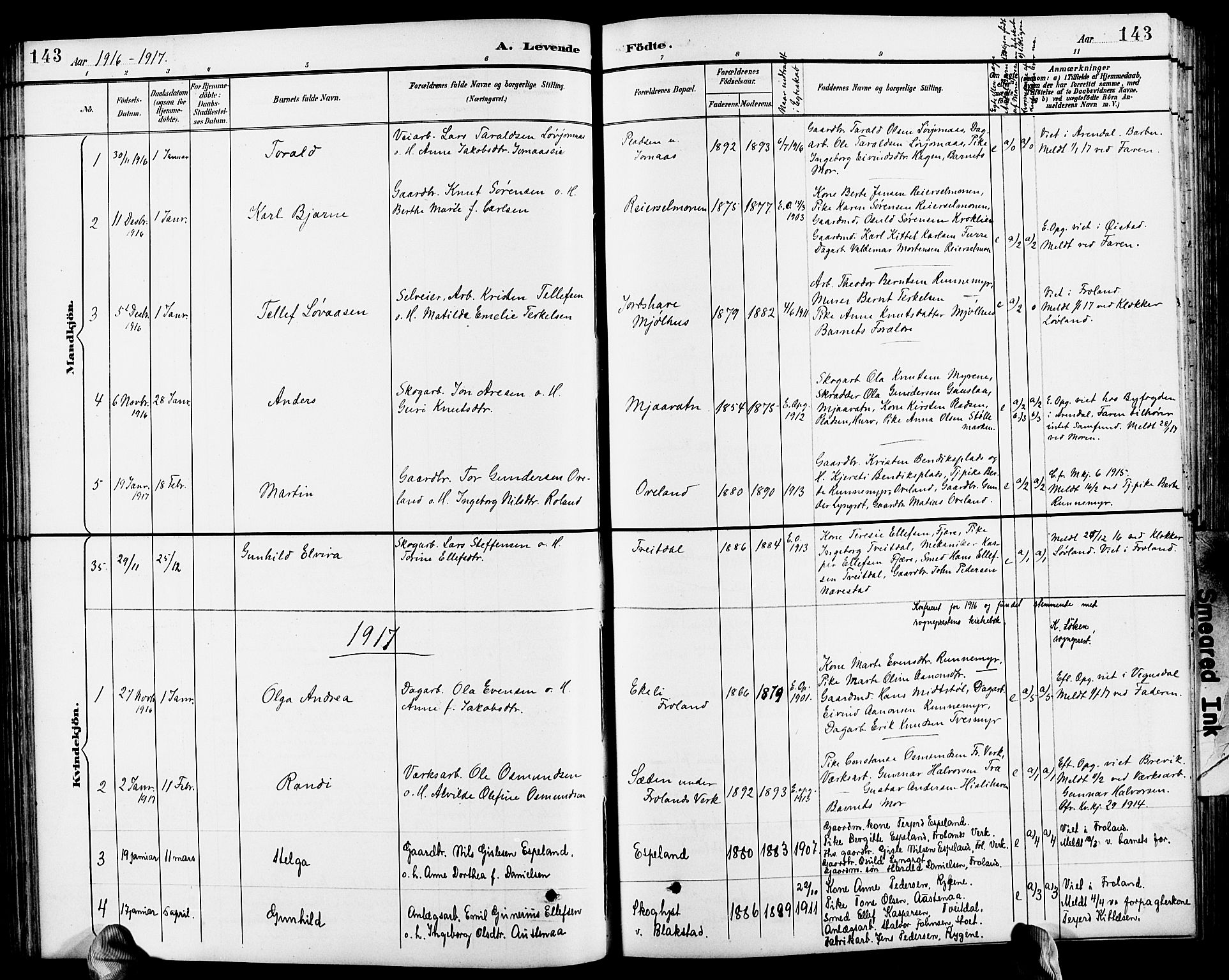 Froland sokneprestkontor, SAK/1111-0013/F/Fb/L0010: Parish register (copy) no. B 10, 1893-1920, p. 143