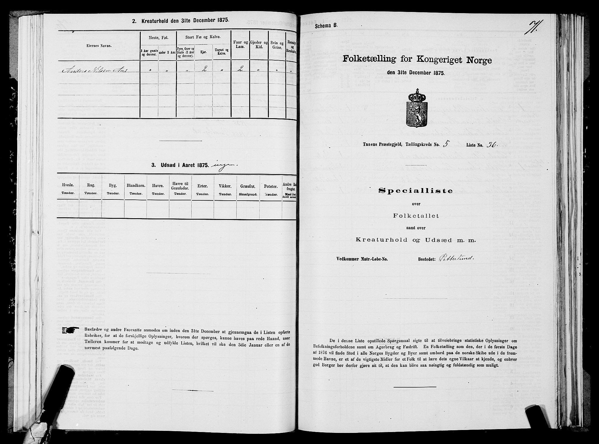 SATØ, 1875 census for 2025P Tana, 1875, p. 2071