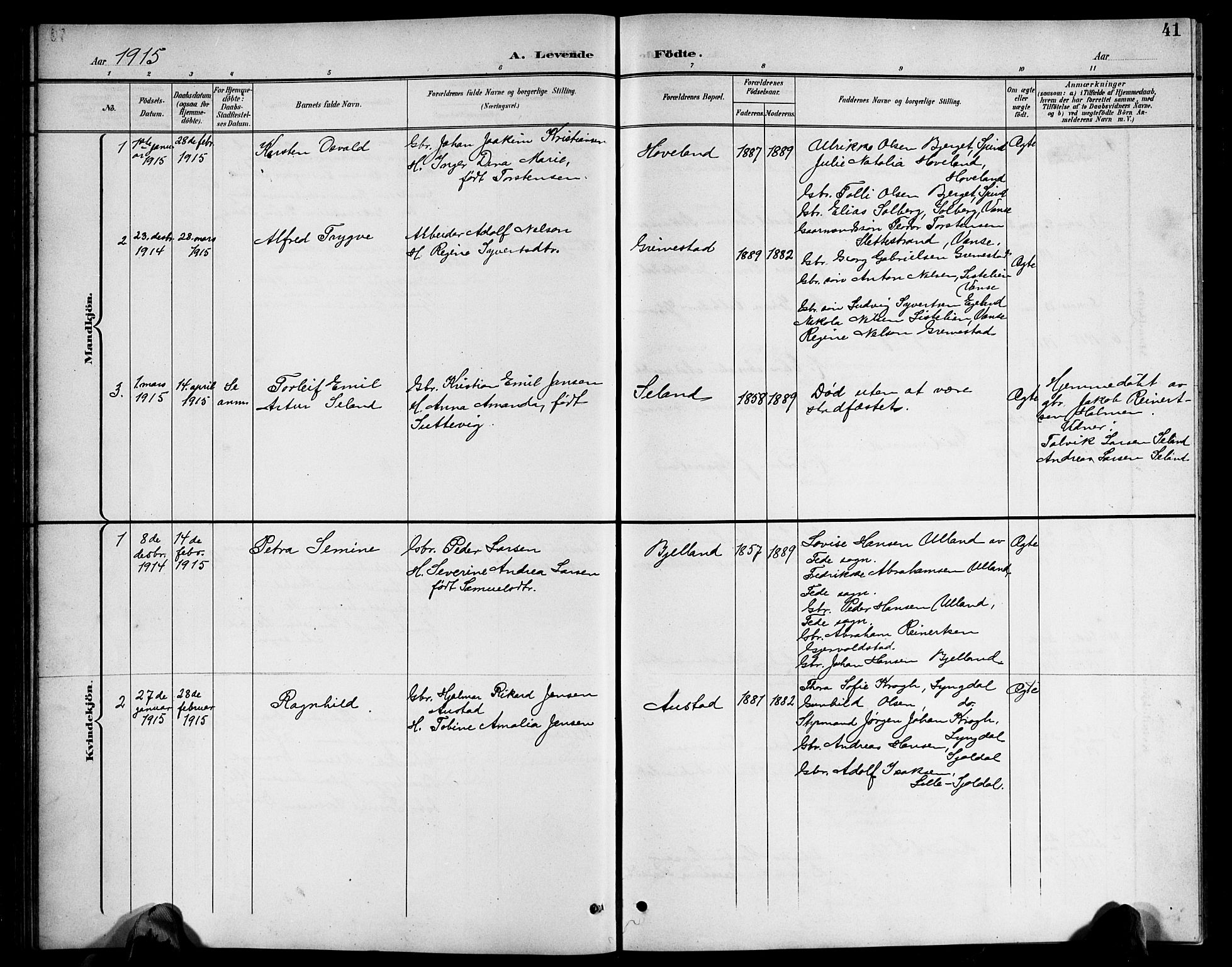 Herad sokneprestkontor, AV/SAK-1111-0018/F/Fb/Fba/L0005: Parish register (copy) no. B 5, 1899-1921, p. 41