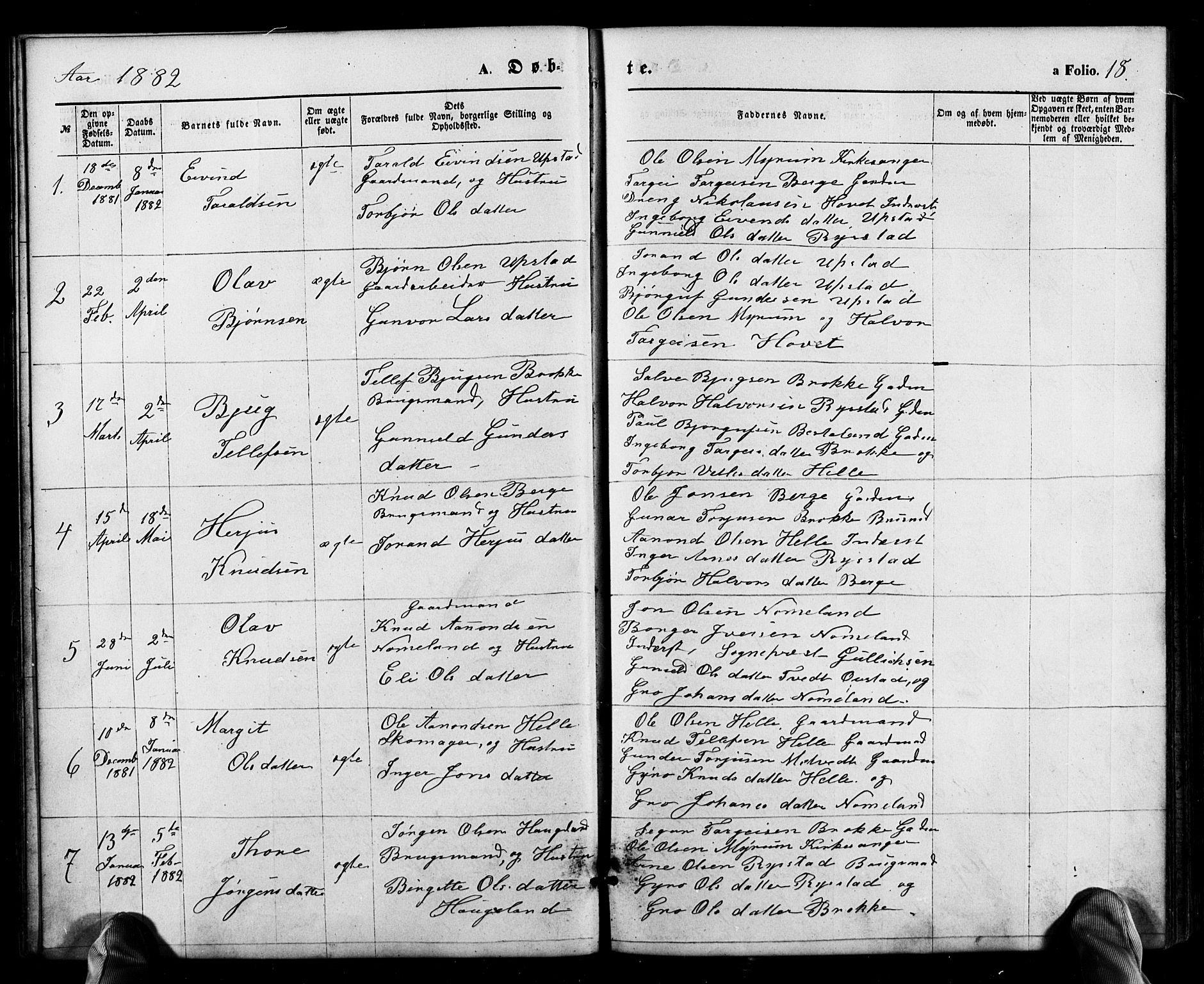 Valle sokneprestkontor, AV/SAK-1111-0044/F/Fb/Fbb/L0002: Parish register (copy) no. B 2, 1875-1921, p. 18