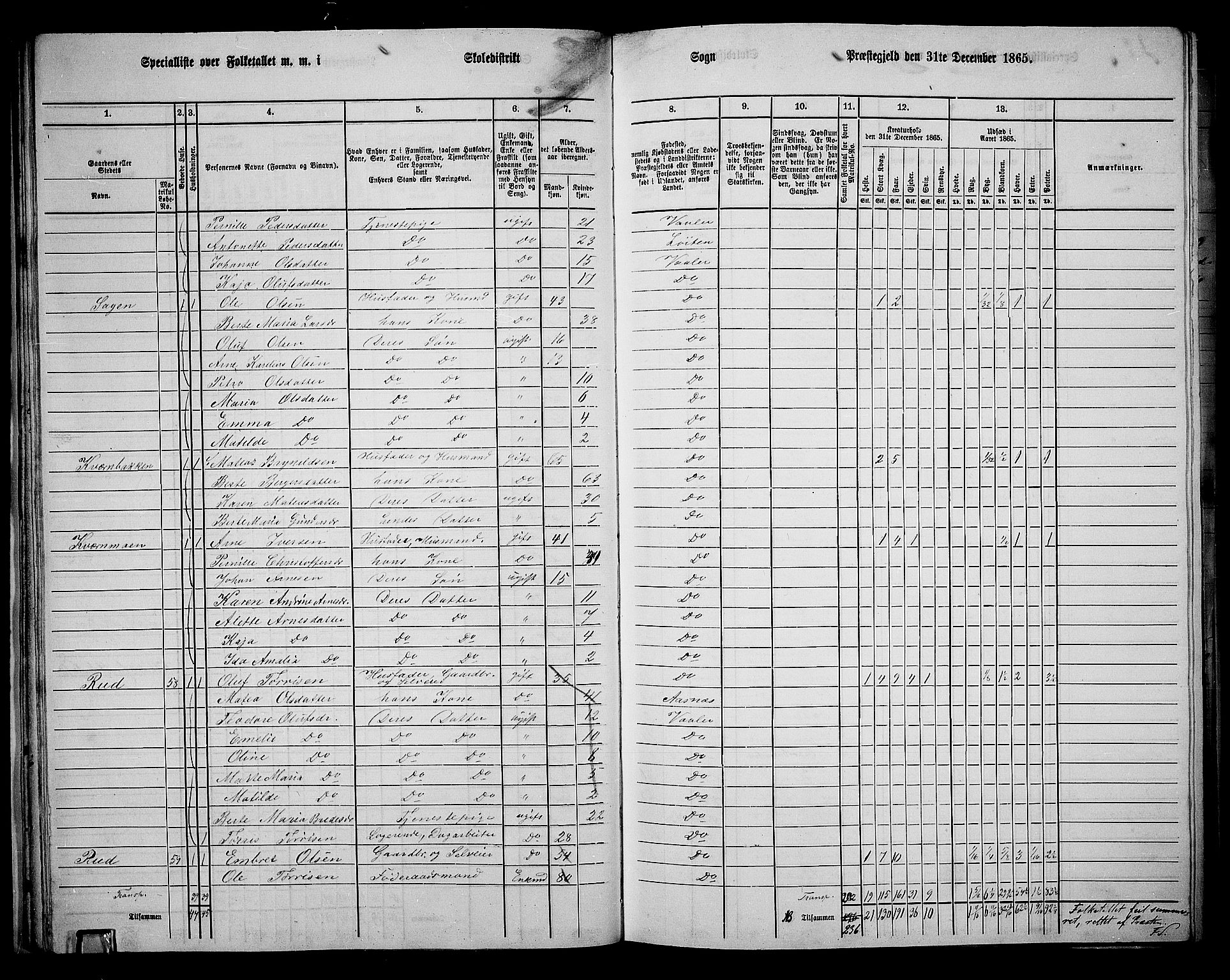 RA, 1865 census for Våler, 1865, p. 33