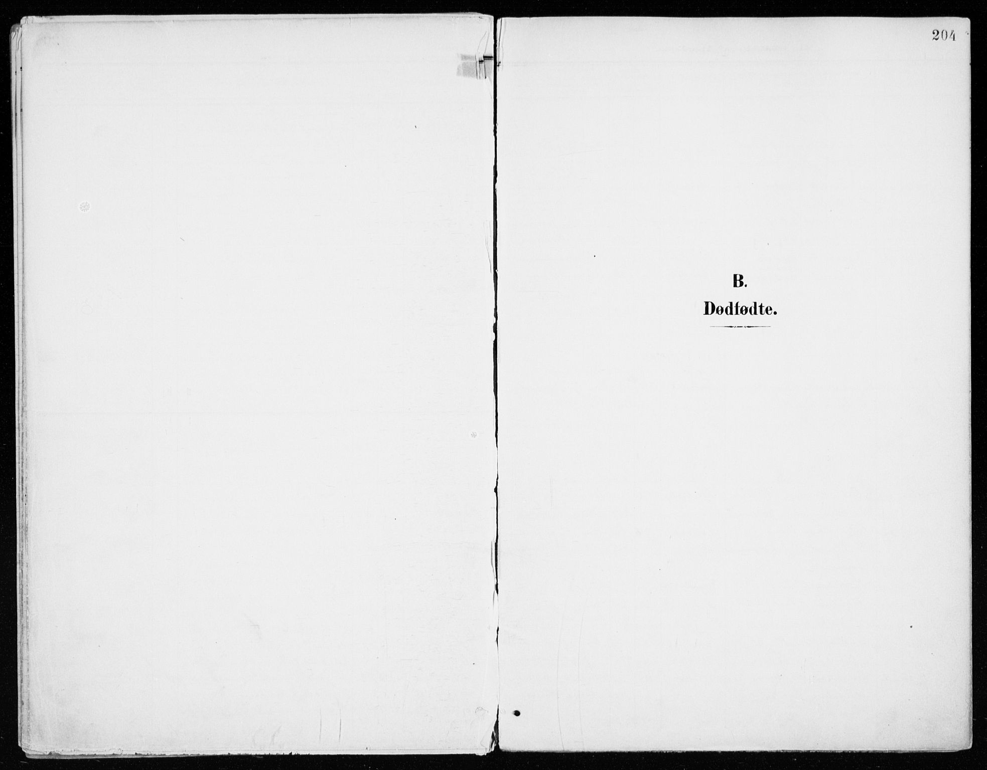 Vang prestekontor, Hedmark, SAH/PREST-008/H/Ha/Haa/L0021: Parish register (official) no. 21, 1902-1917, p. 204
