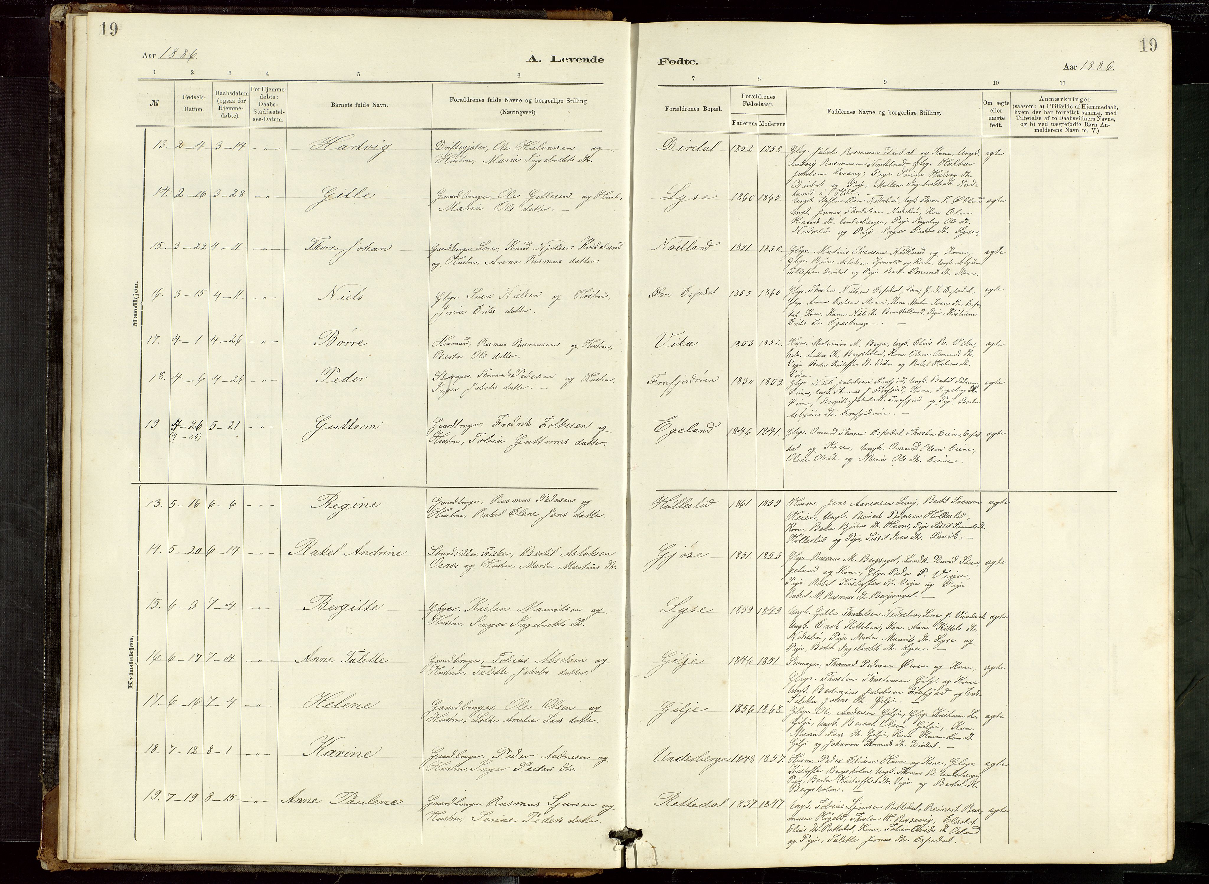 Høgsfjord sokneprestkontor, AV/SAST-A-101624/H/Ha/Hab/L0009: Parish register (copy) no. B 9, 1883-1920, p. 19