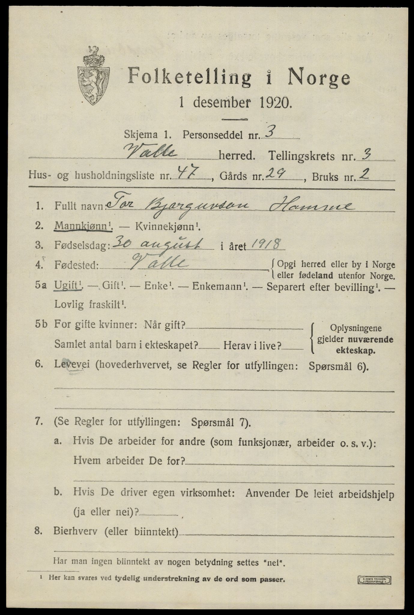 SAK, 1920 census for Valle, 1920, p. 1991