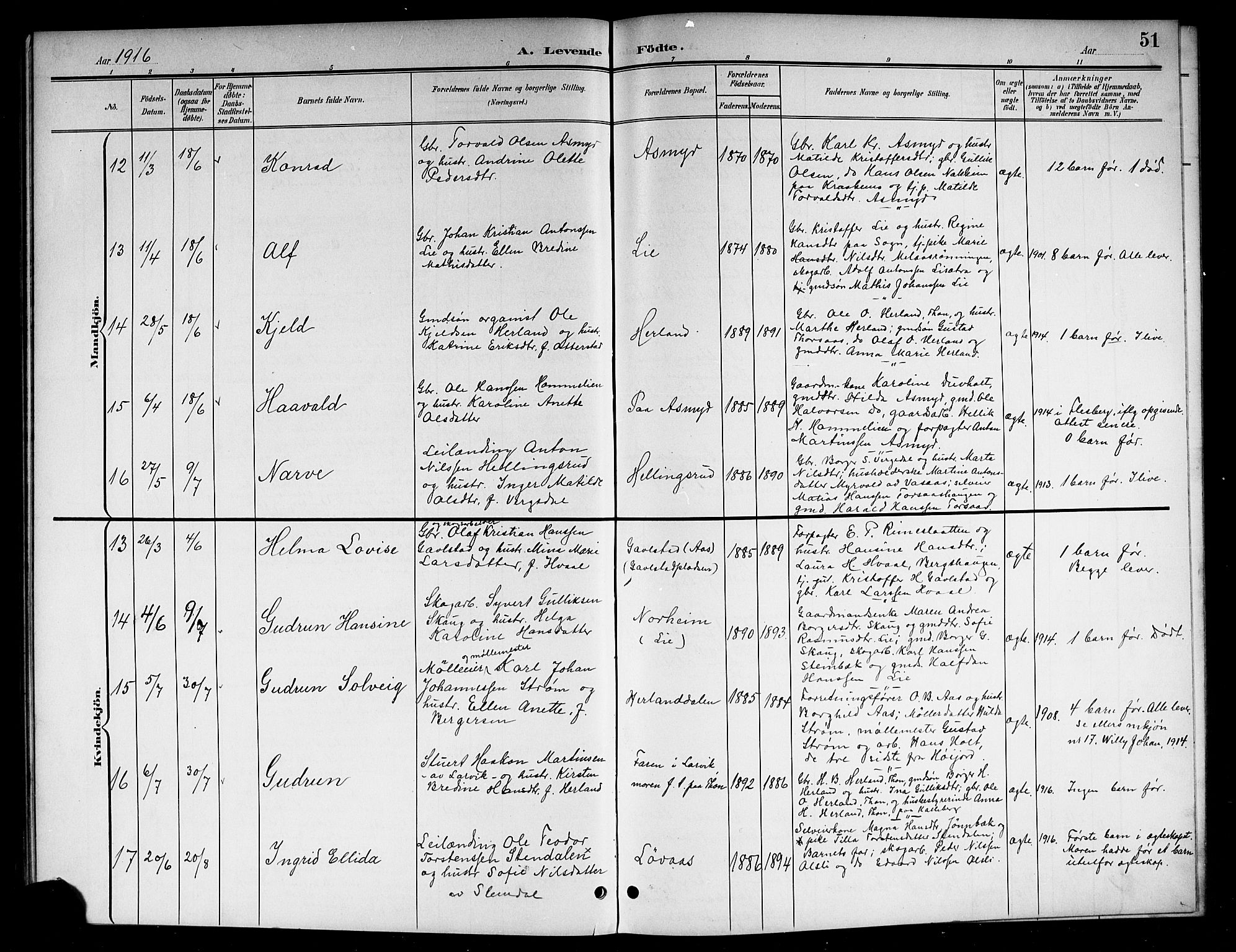 Lardal kirkebøker, SAKO/A-350/G/Ga/L0002: Parish register (copy) no. I 2, 1901-1916, p. 51
