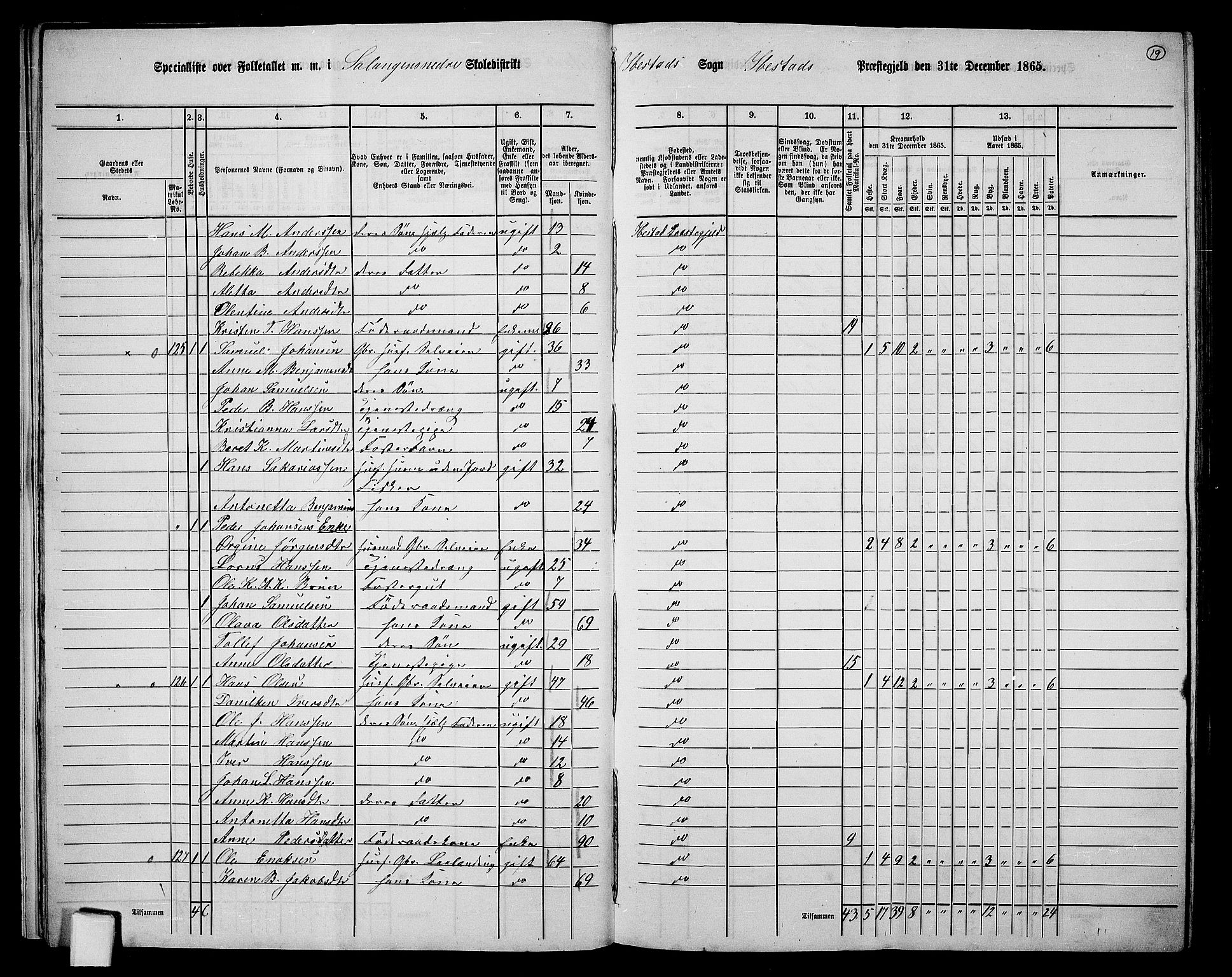 RA, 1865 census for Ibestad, 1865, p. 19